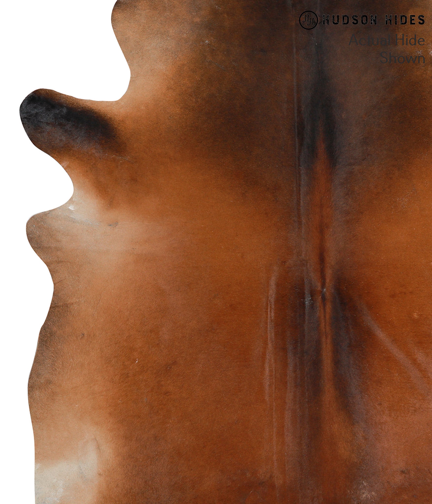 Brown with Red Cowhide Rug #48885
