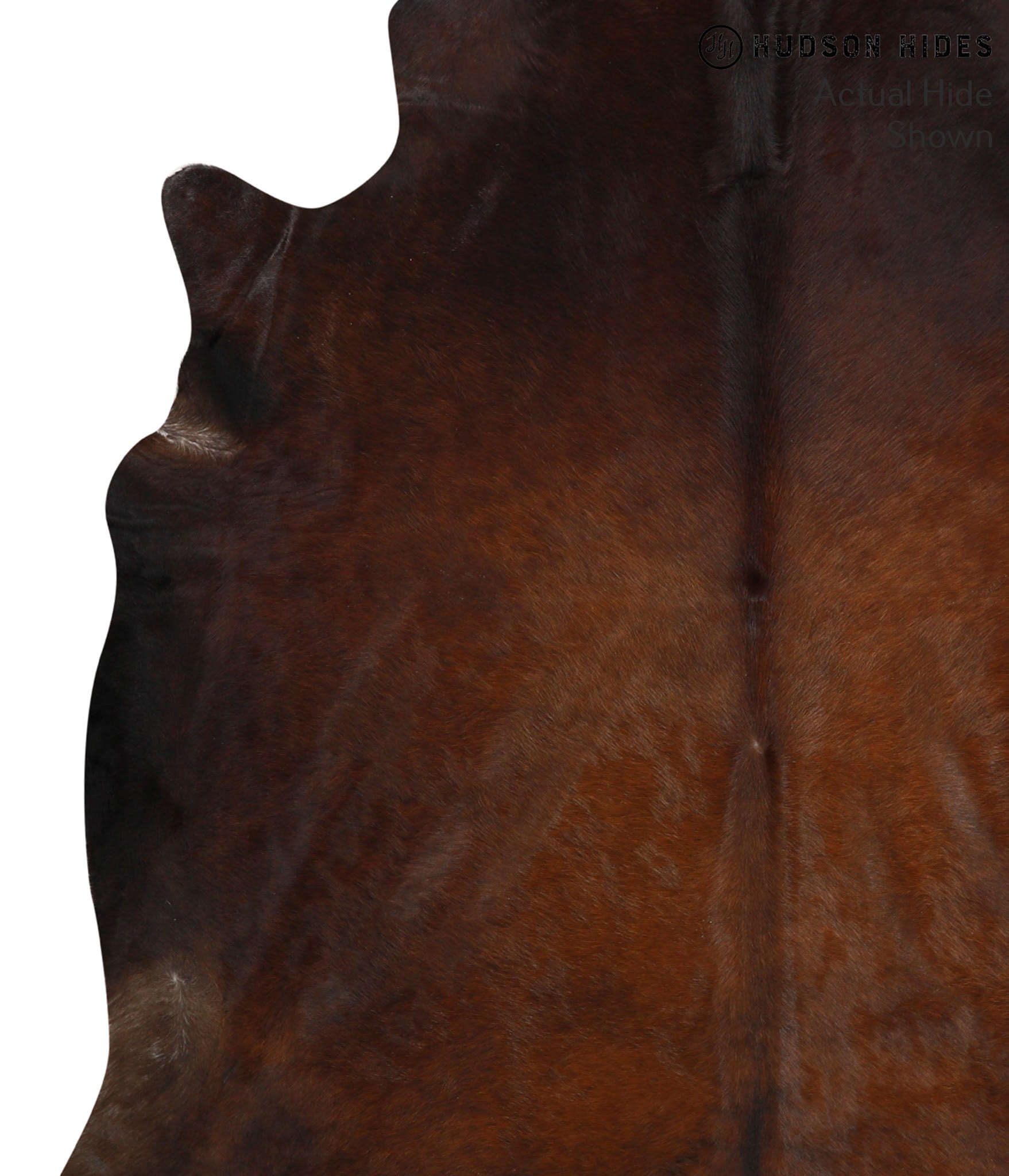 Chocolate Cowhide Rug #48936