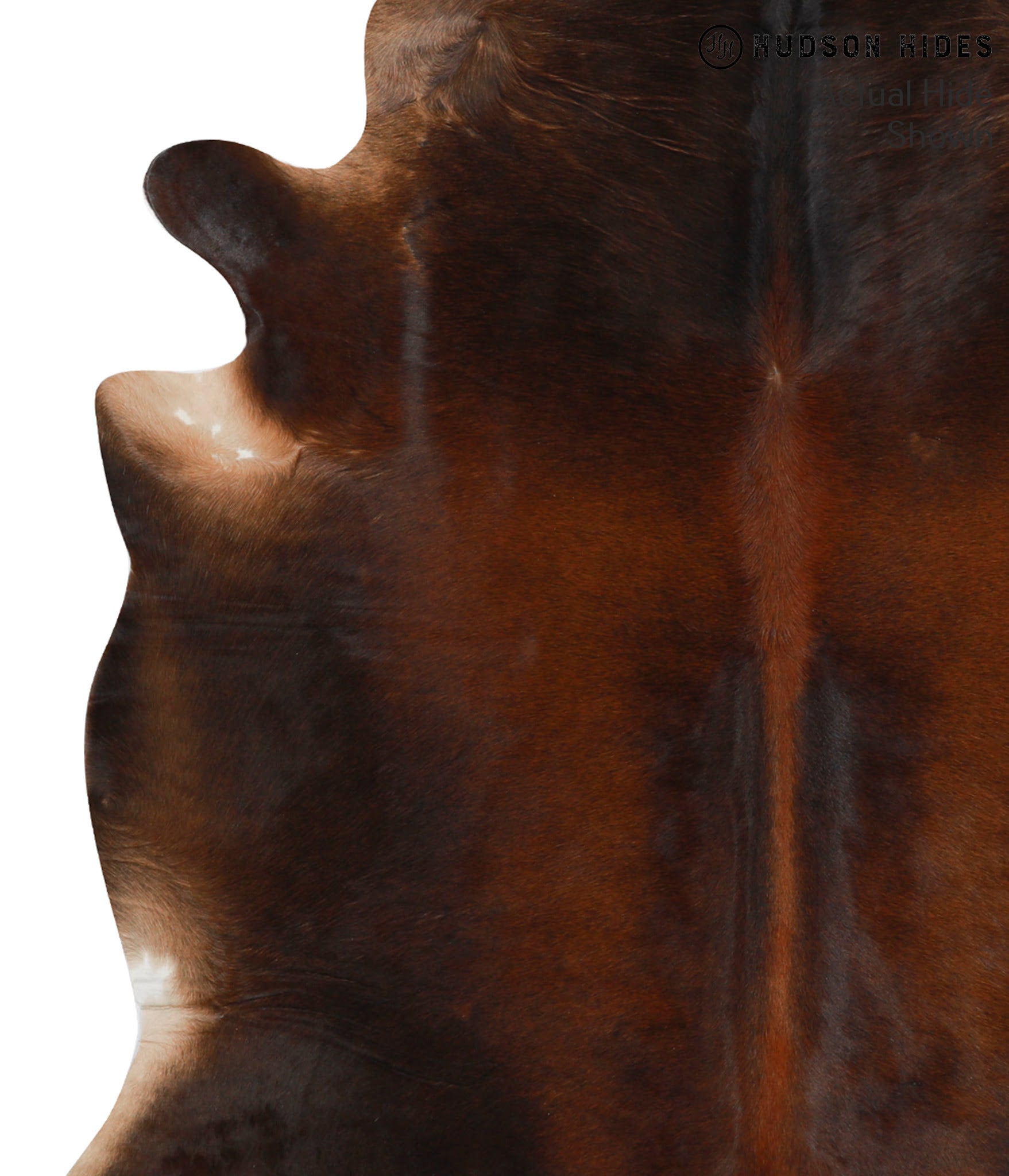 Brown with Red Cowhide Rug #48960