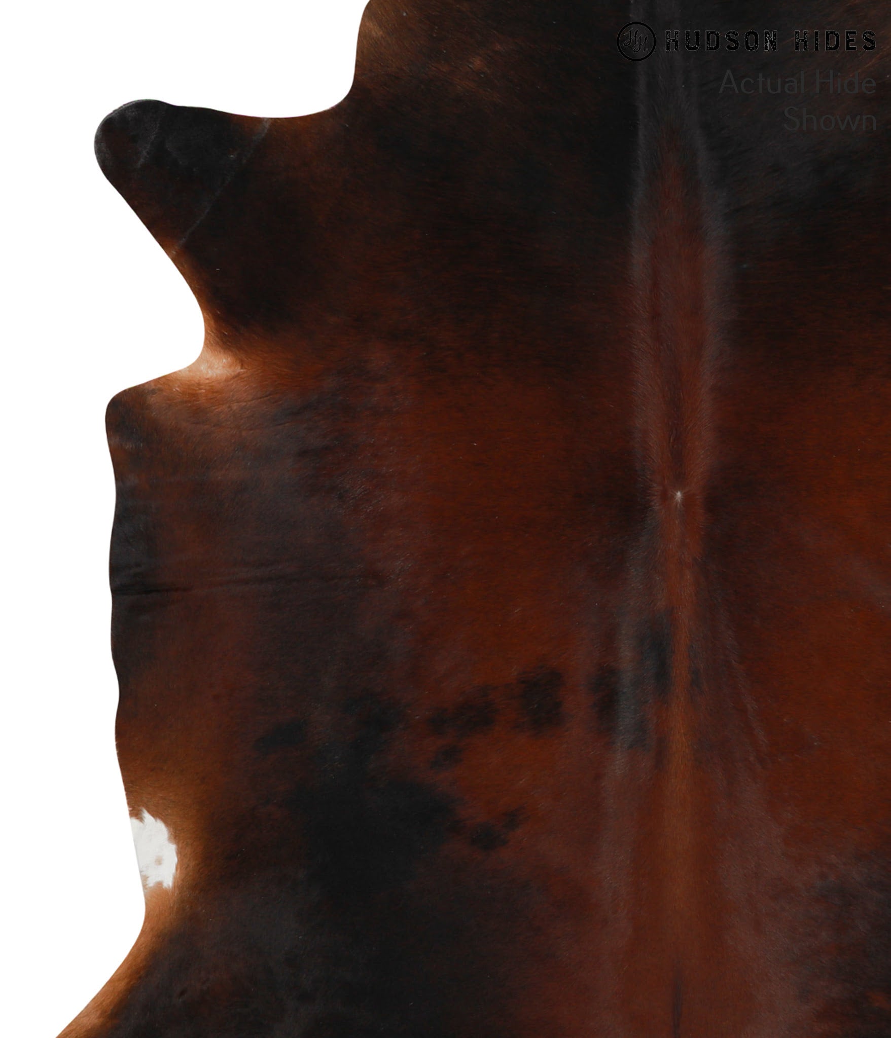 Brown with Red Cowhide Rug #48986