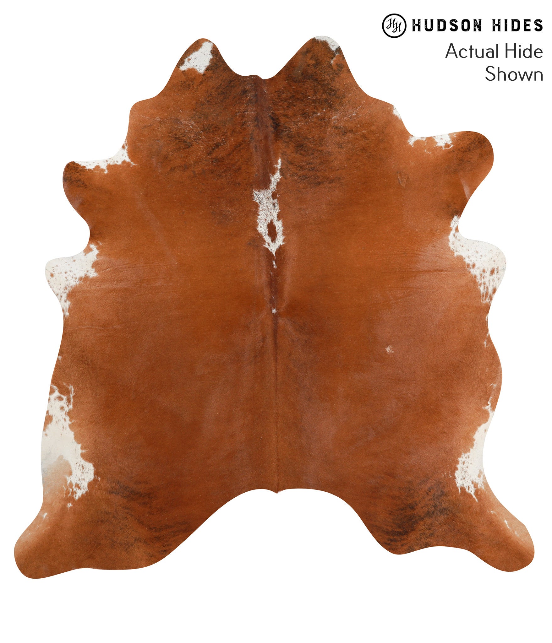 Brown and White Regular Cowhide Rug #49033