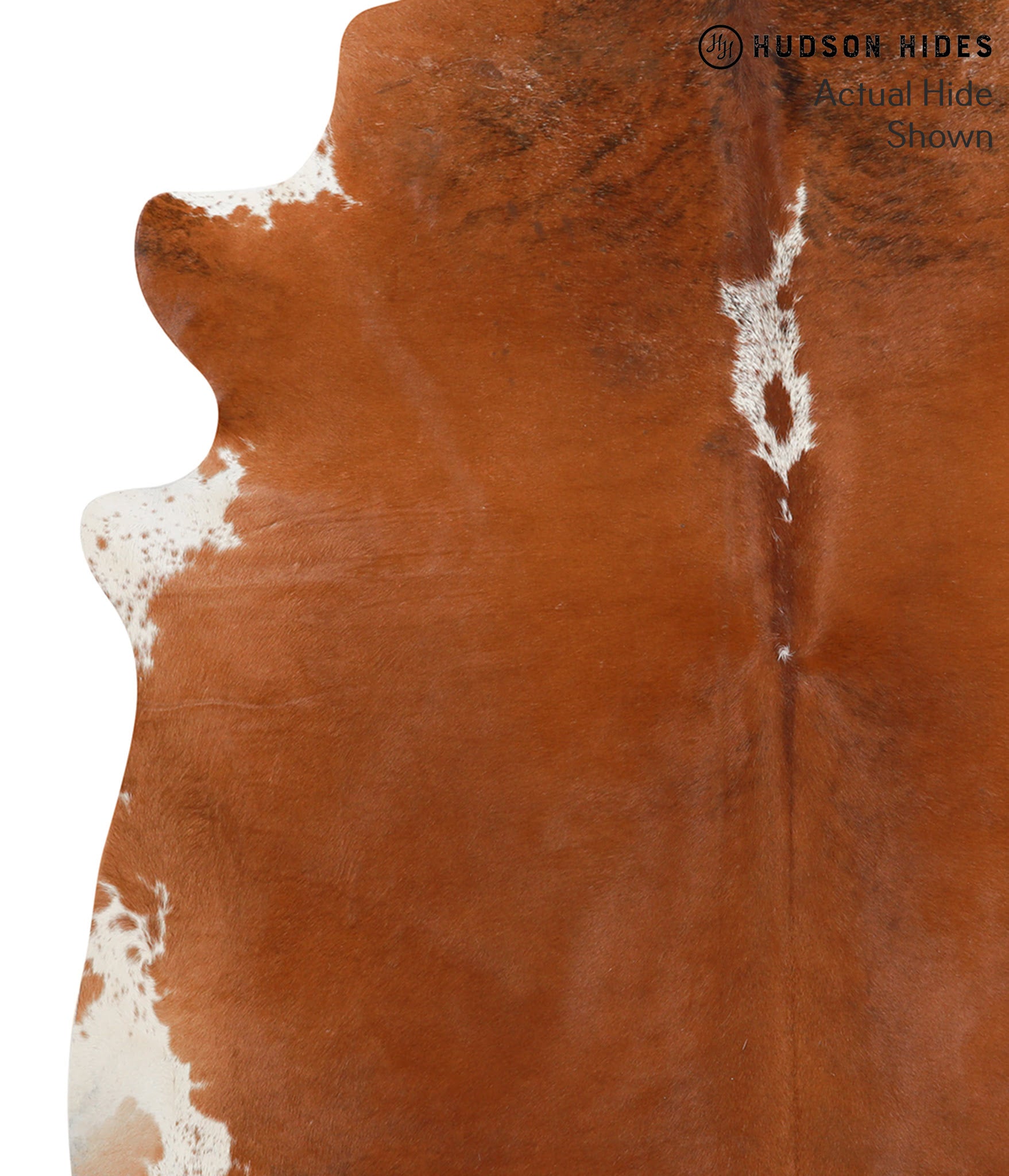 Brown and White Regular Cowhide Rug #49033