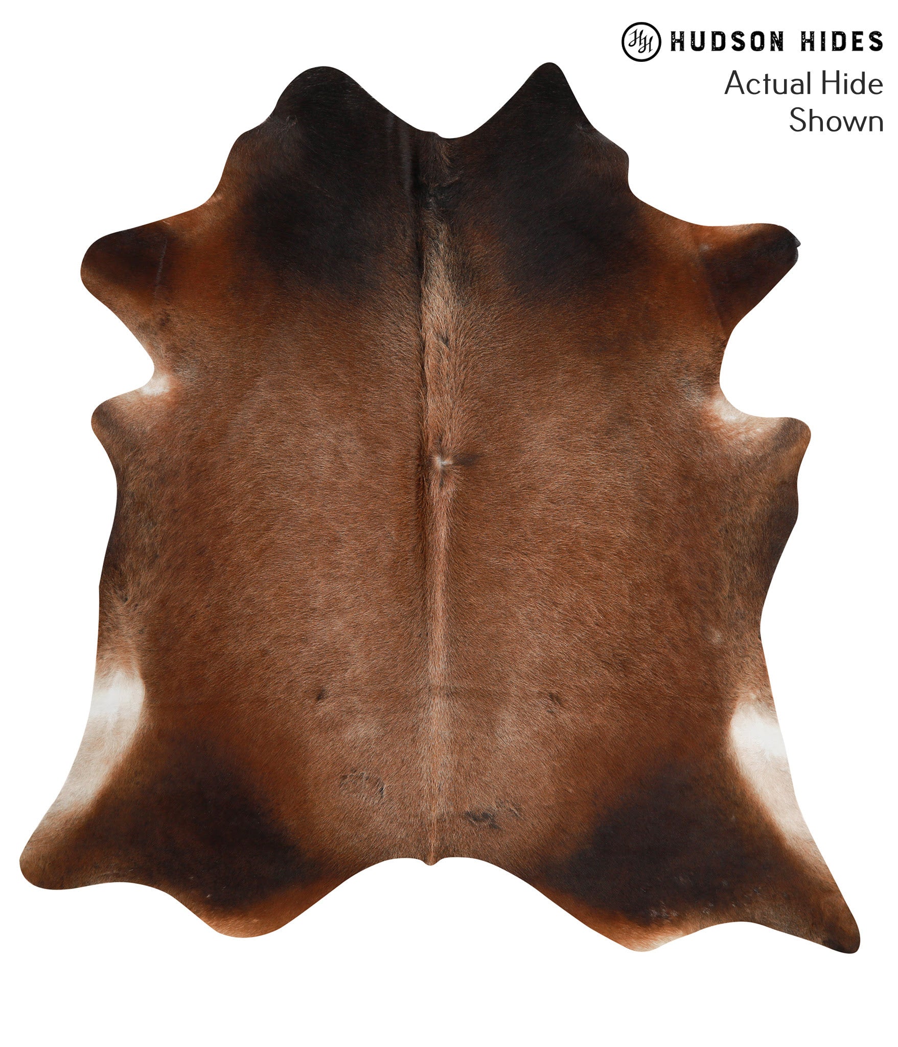 Brown with Red Cowhide Rug #49205