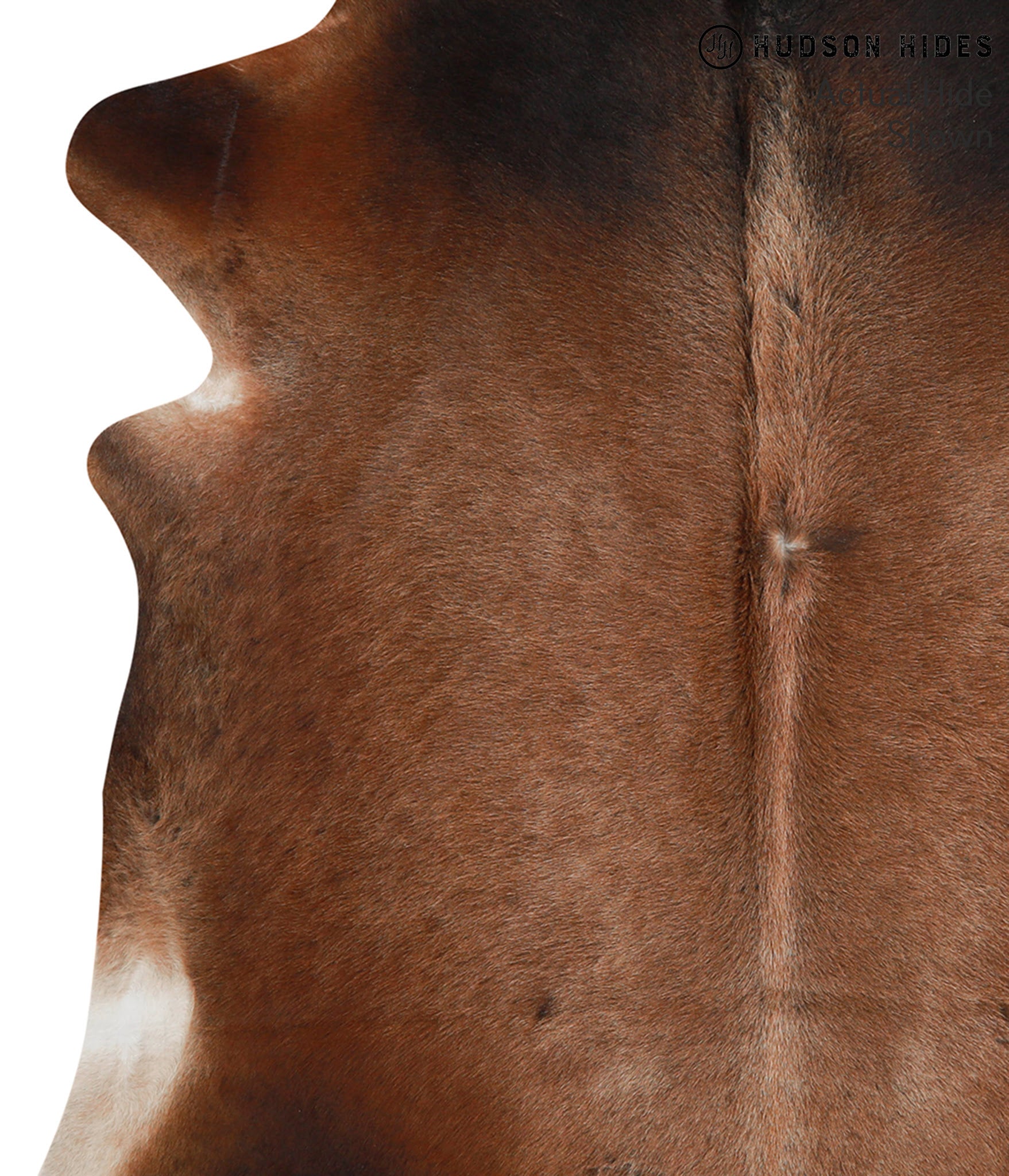 Brown with Red Cowhide Rug #49205