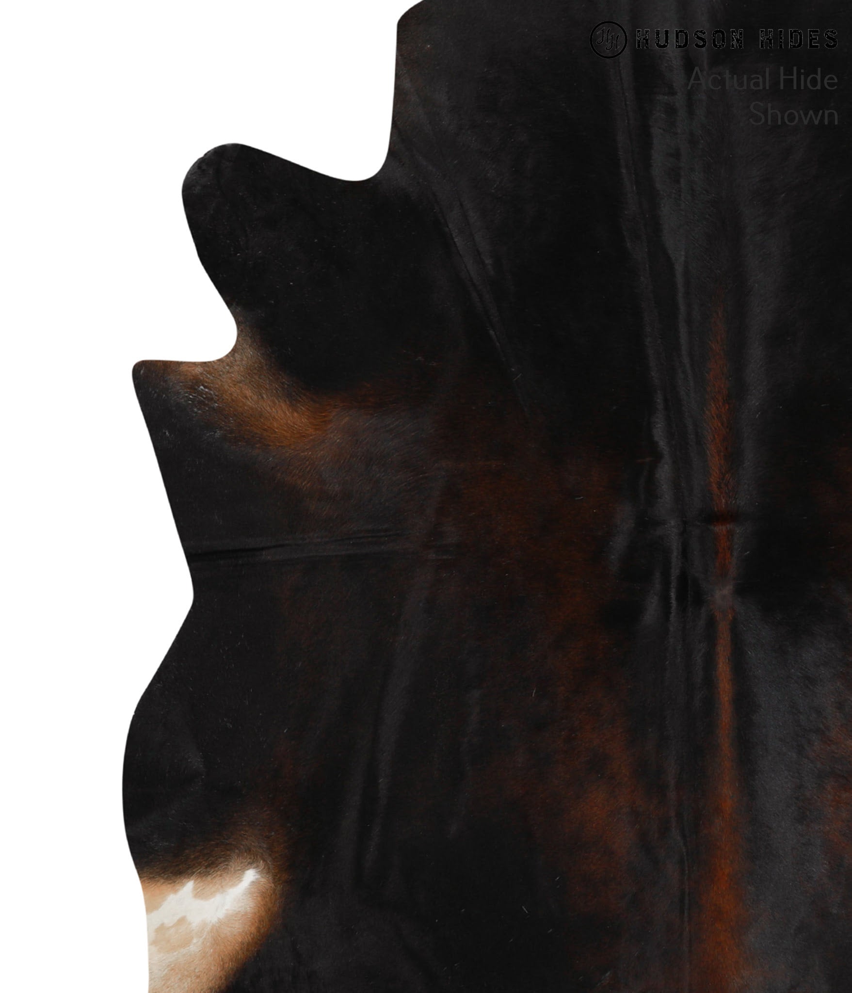 Chocolate Cowhide Rug #49221