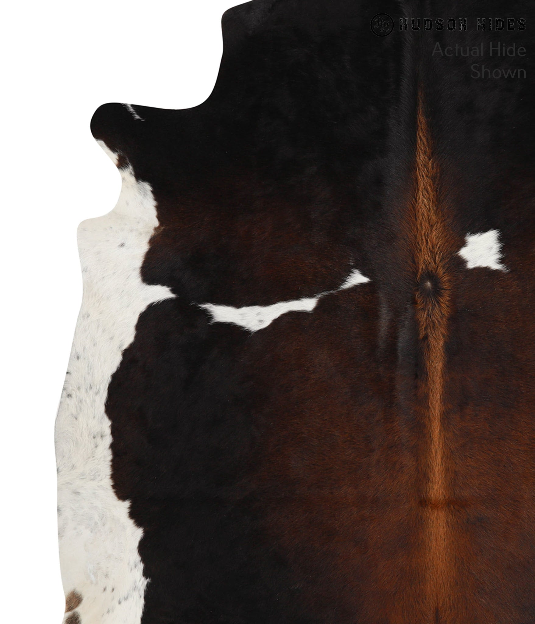 Chocolate and White Cowhide Rug #49360