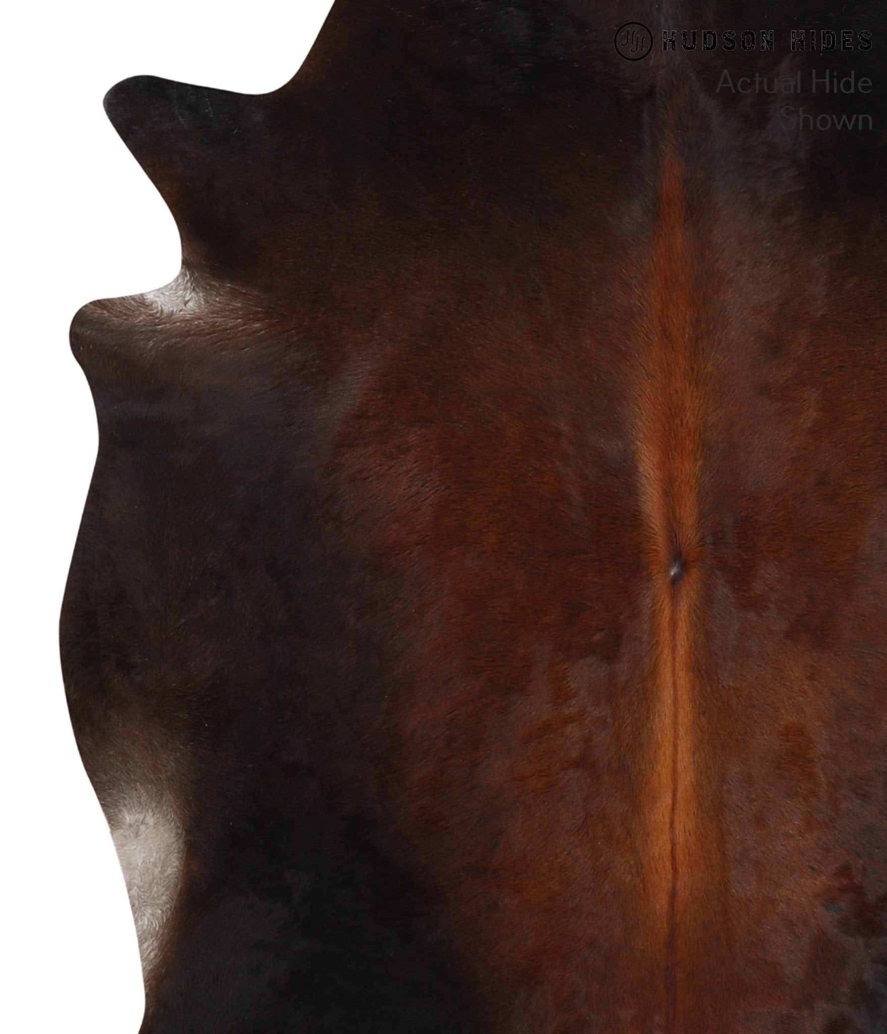 Brown with Red Cowhide Rug #49428