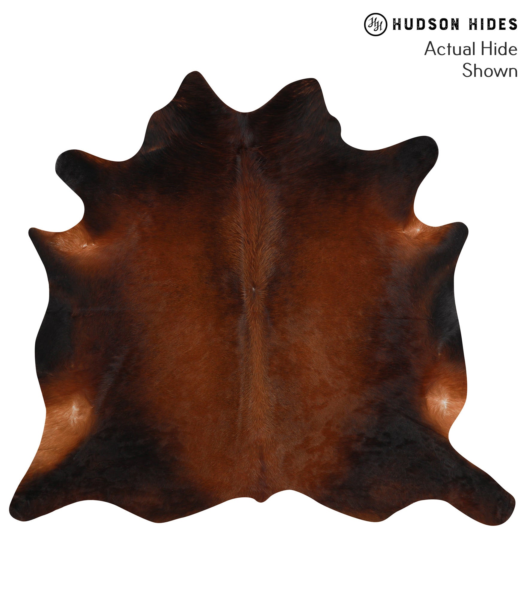 Brown with Red Cowhide Rug #49439