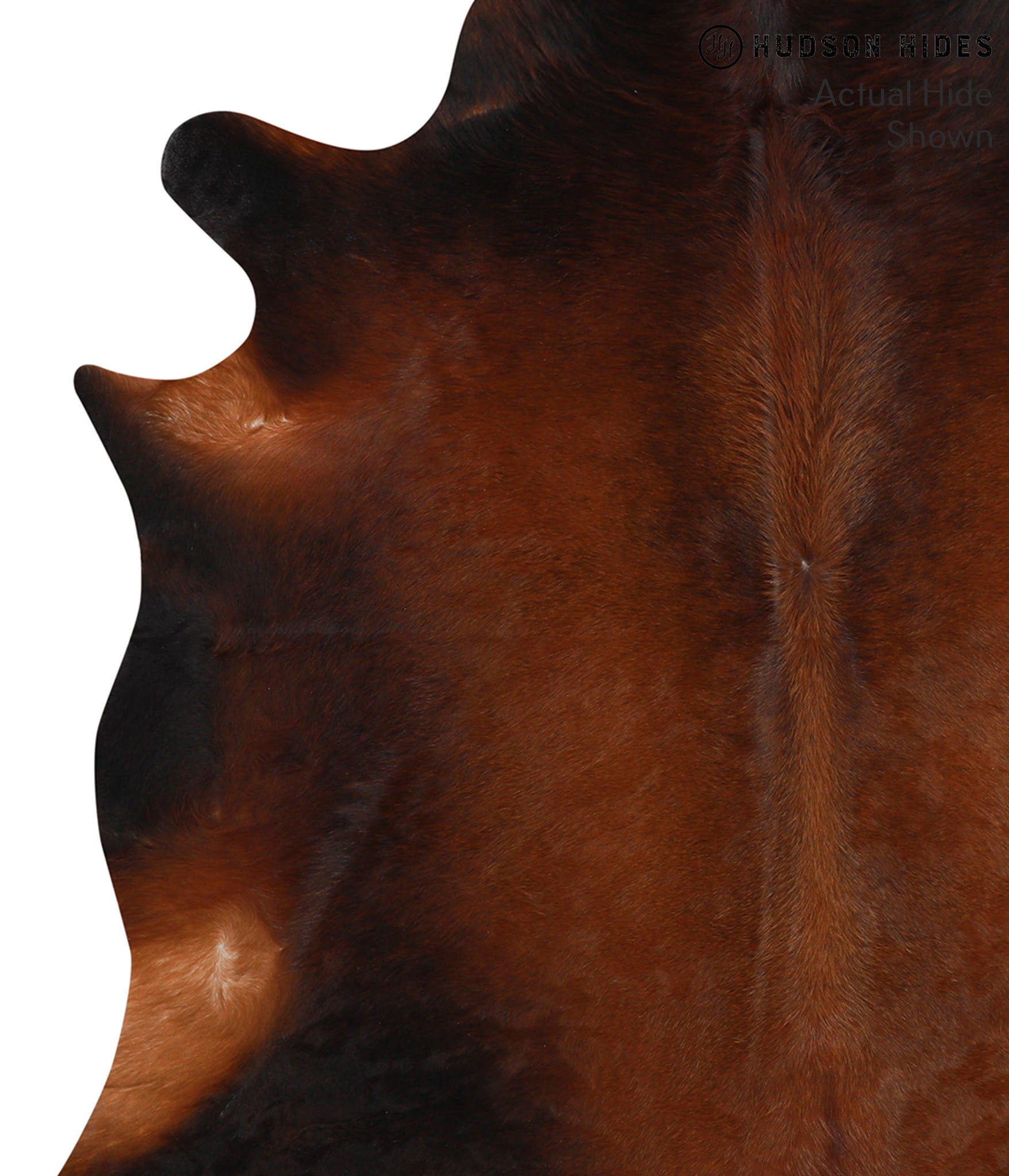 Brown with Red Cowhide Rug #49439