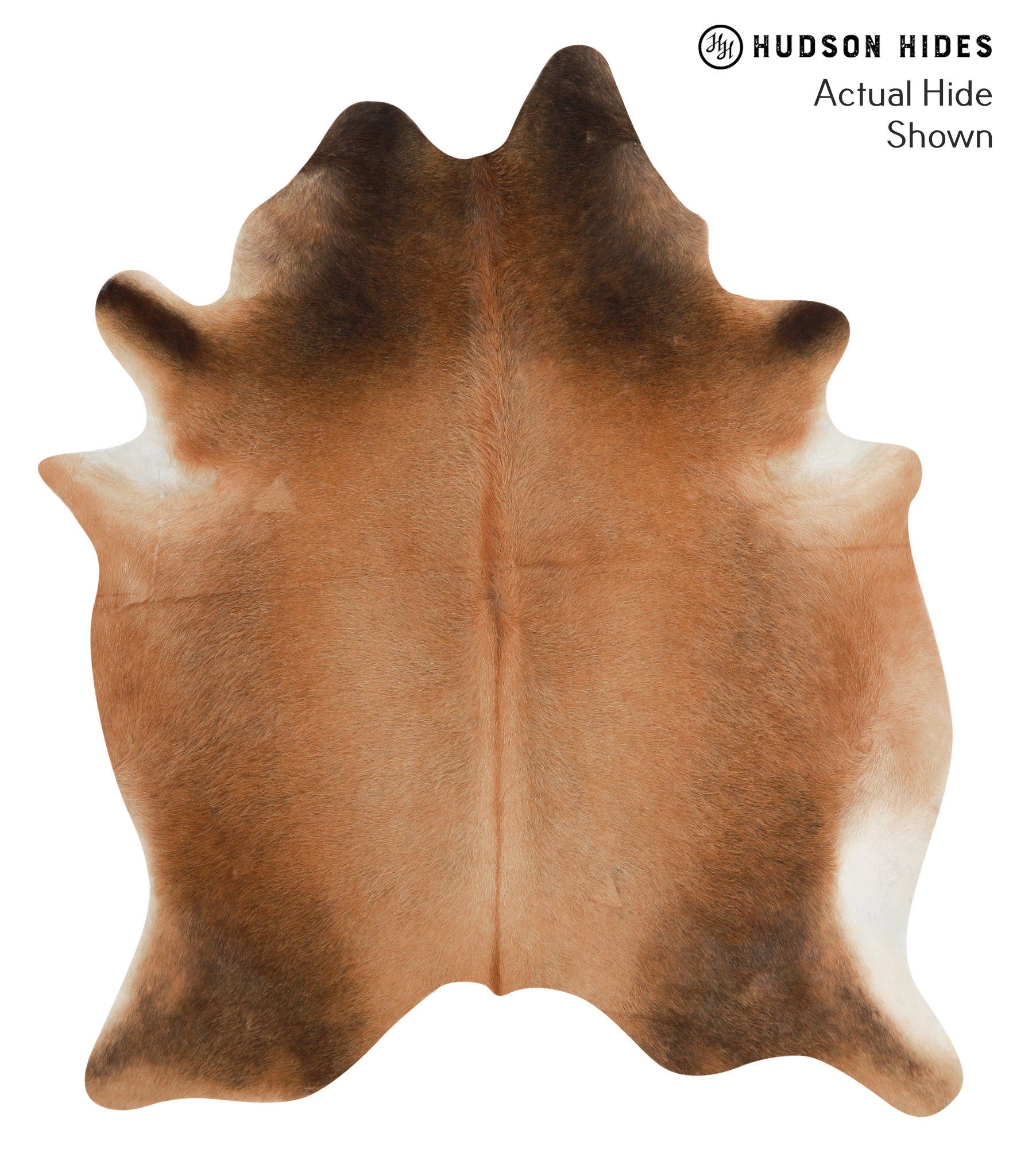 Brown with Red Cowhide Rug #49440