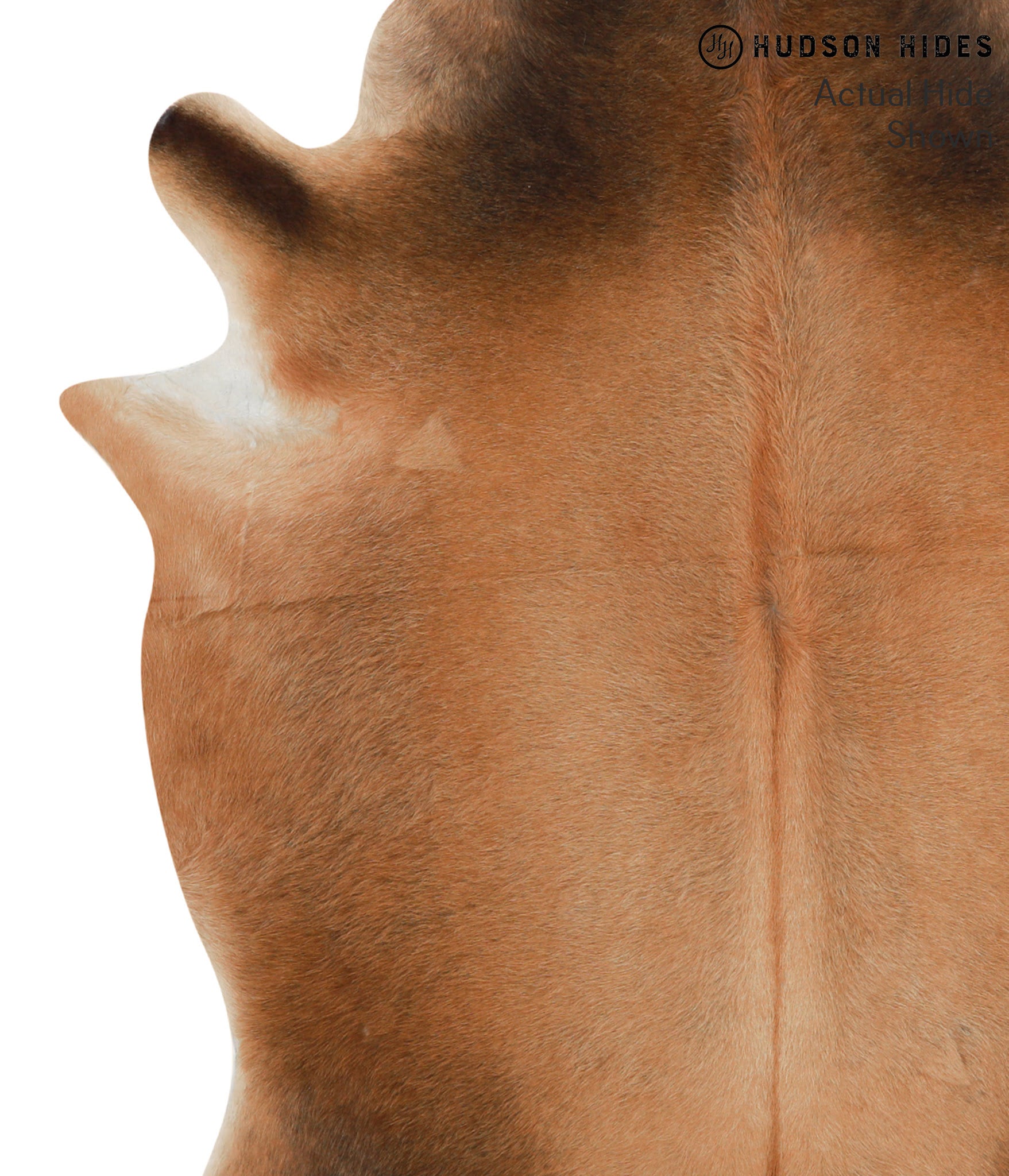 Brown with Red Cowhide Rug #49440