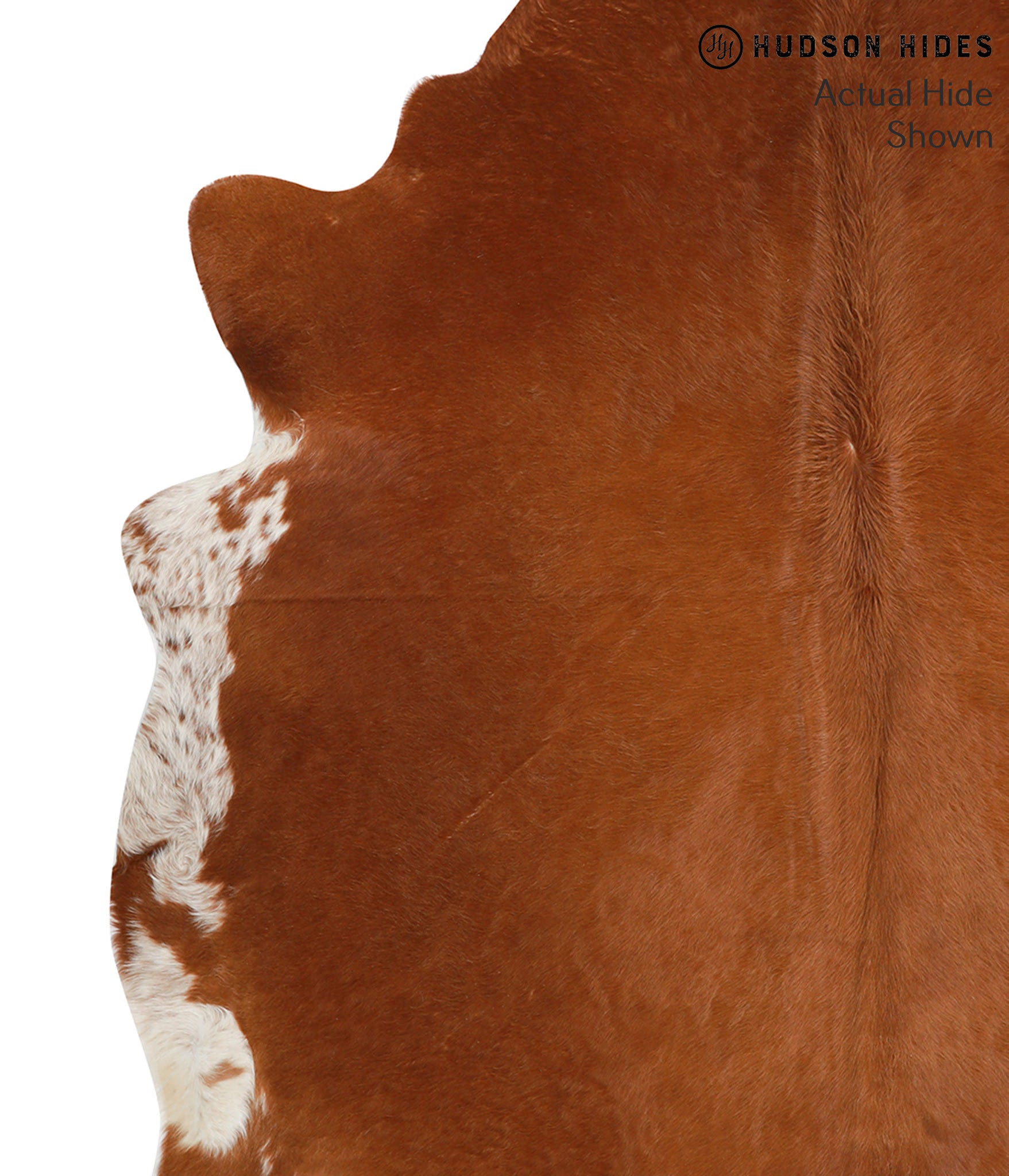Solid Brown Cowhide Rug #49644