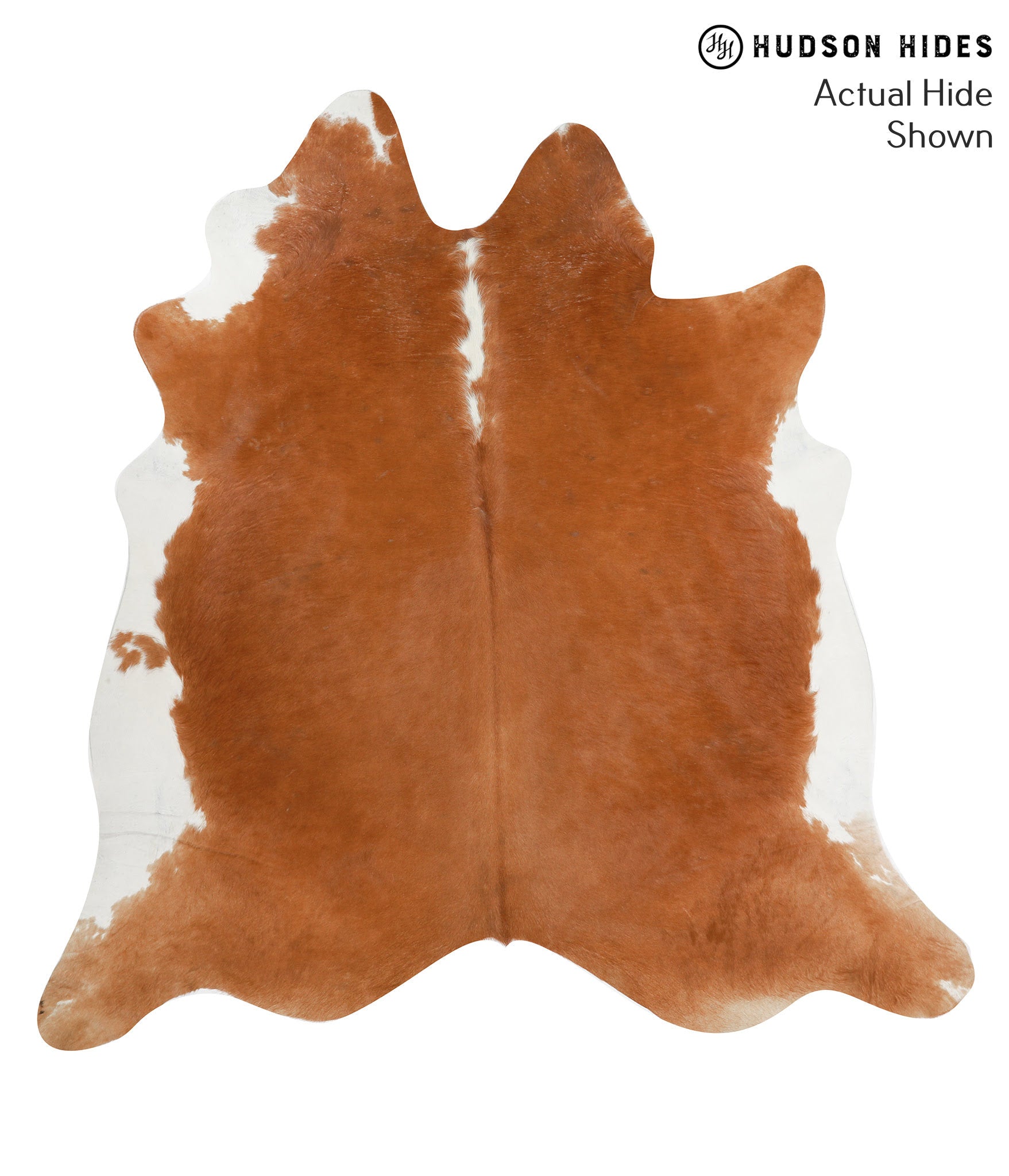 Brown and White Regular Cowhide Rug #49678