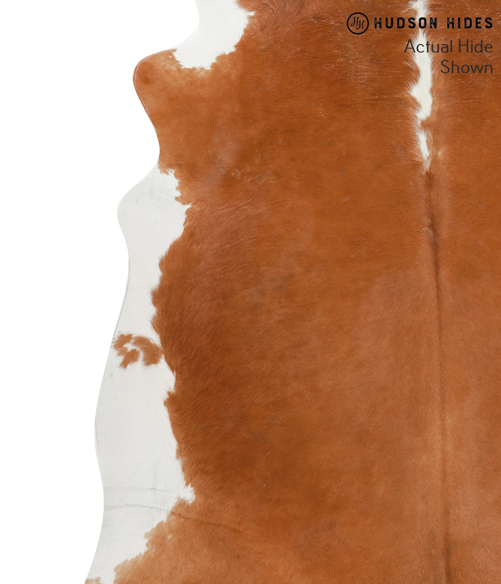 Brown and White Regular Cowhide Rug #49678
