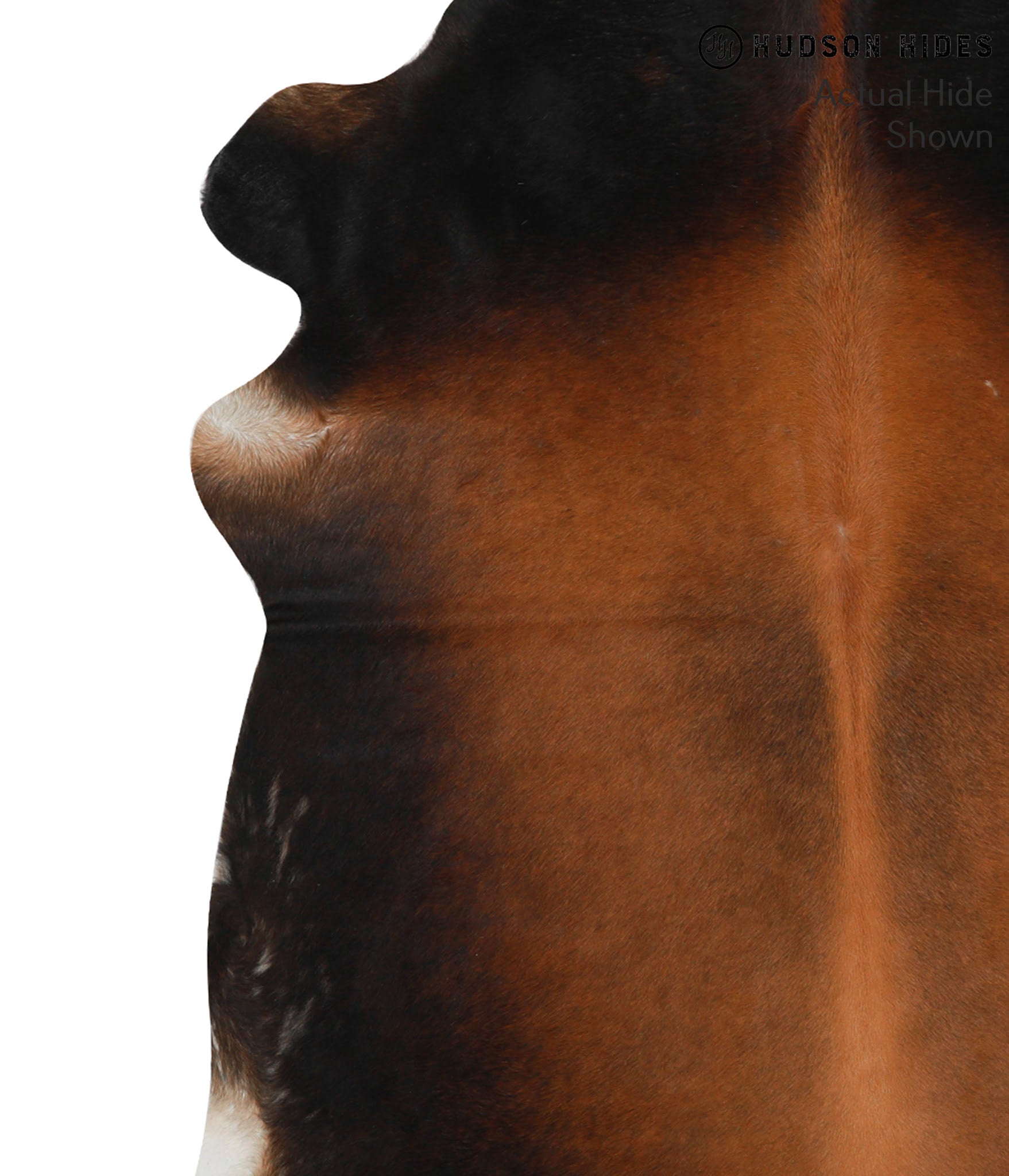 Brown with Red Cowhide Rug #49683