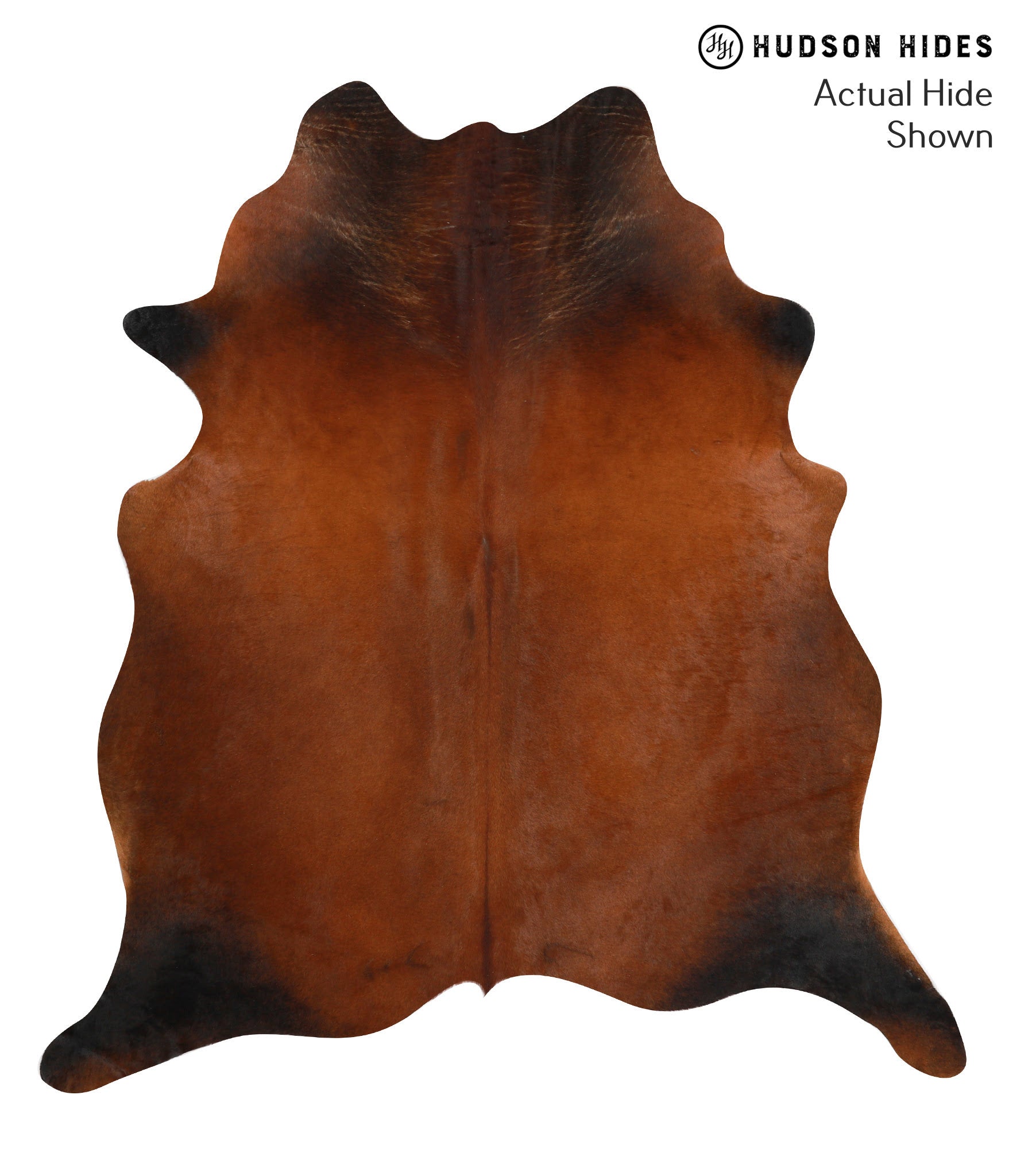 Brown with Red Cowhide Rug #49689