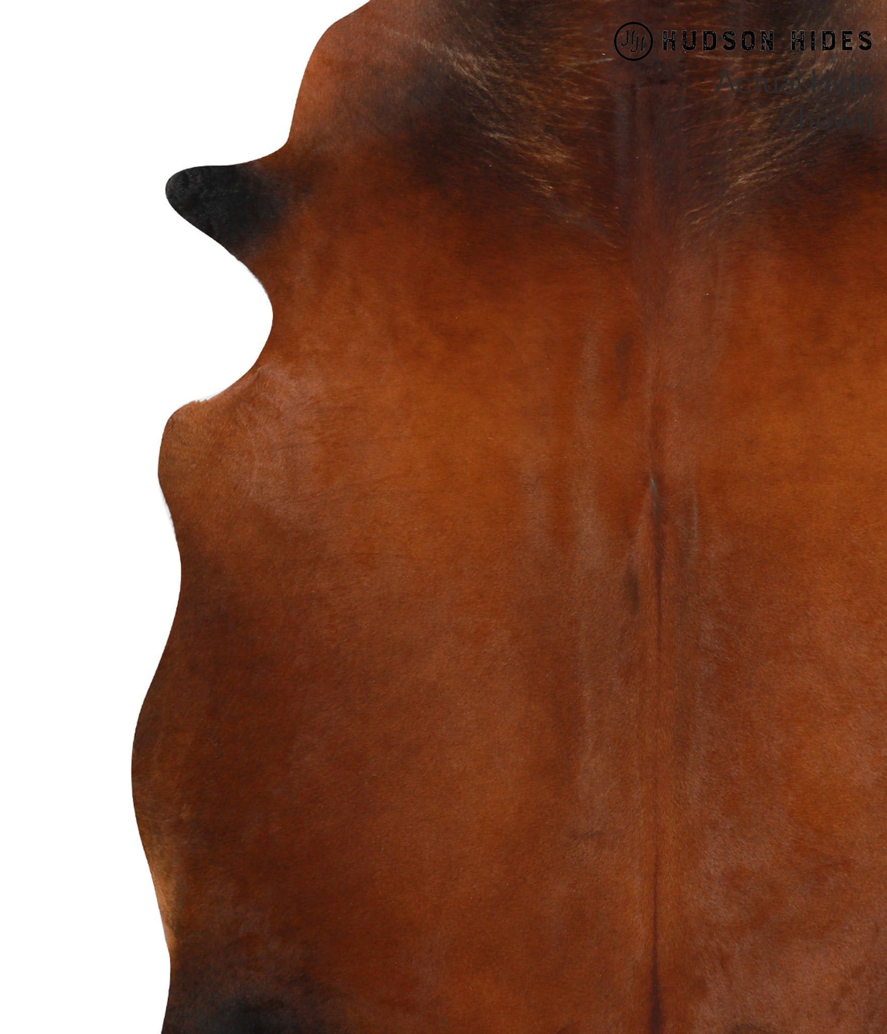 Brown with Red Cowhide Rug #49689
