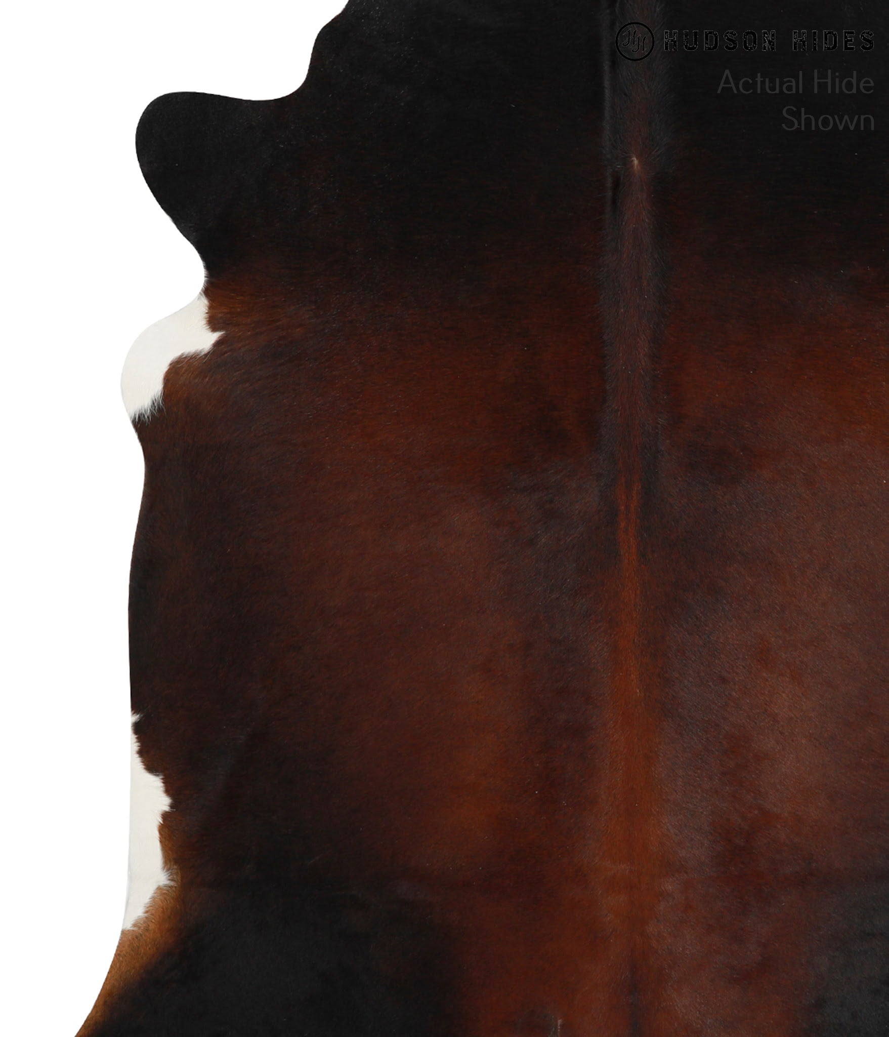 Brown with Red Cowhide Rug #49713