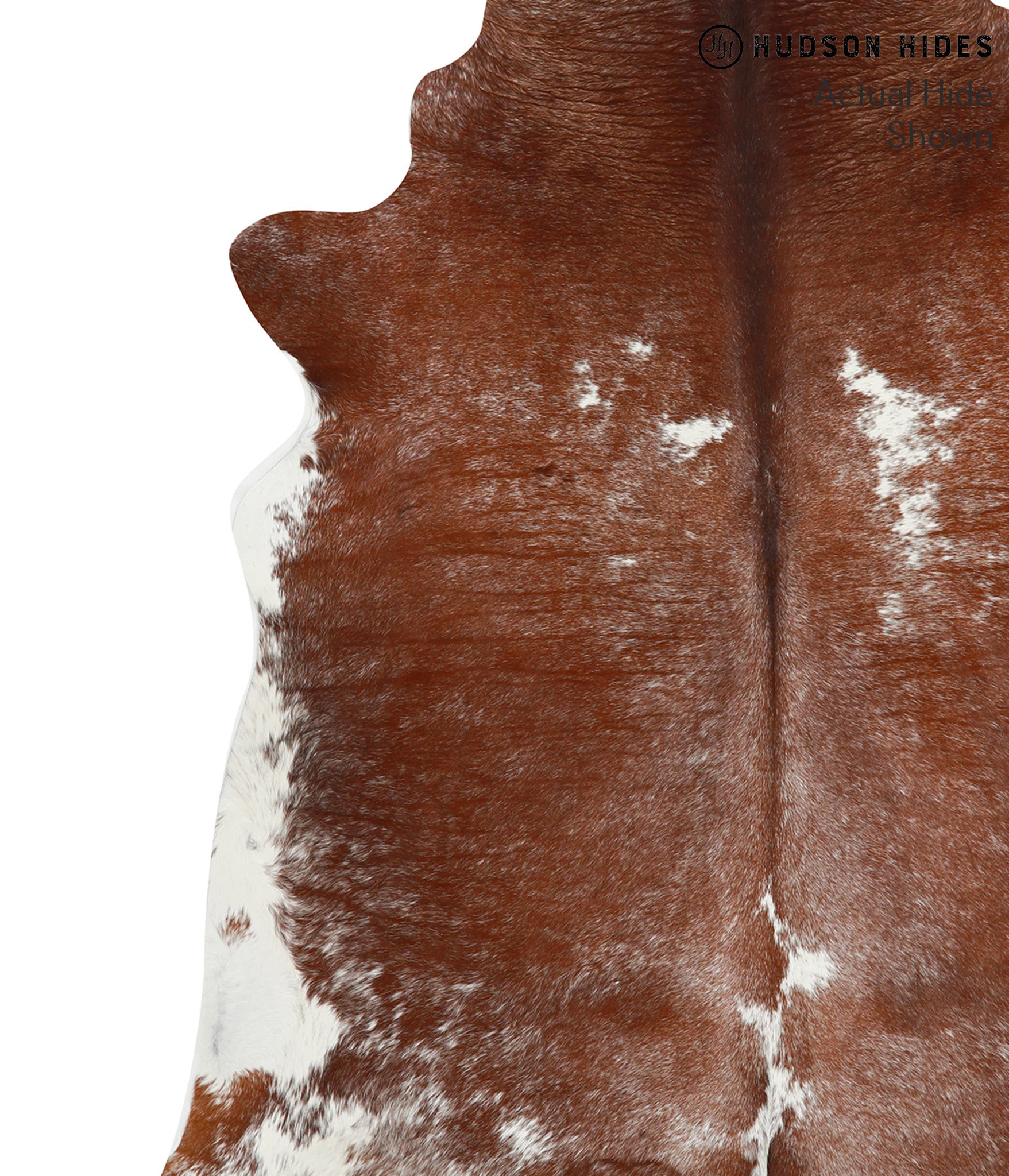Brown and White Cowhide Rug #49801
