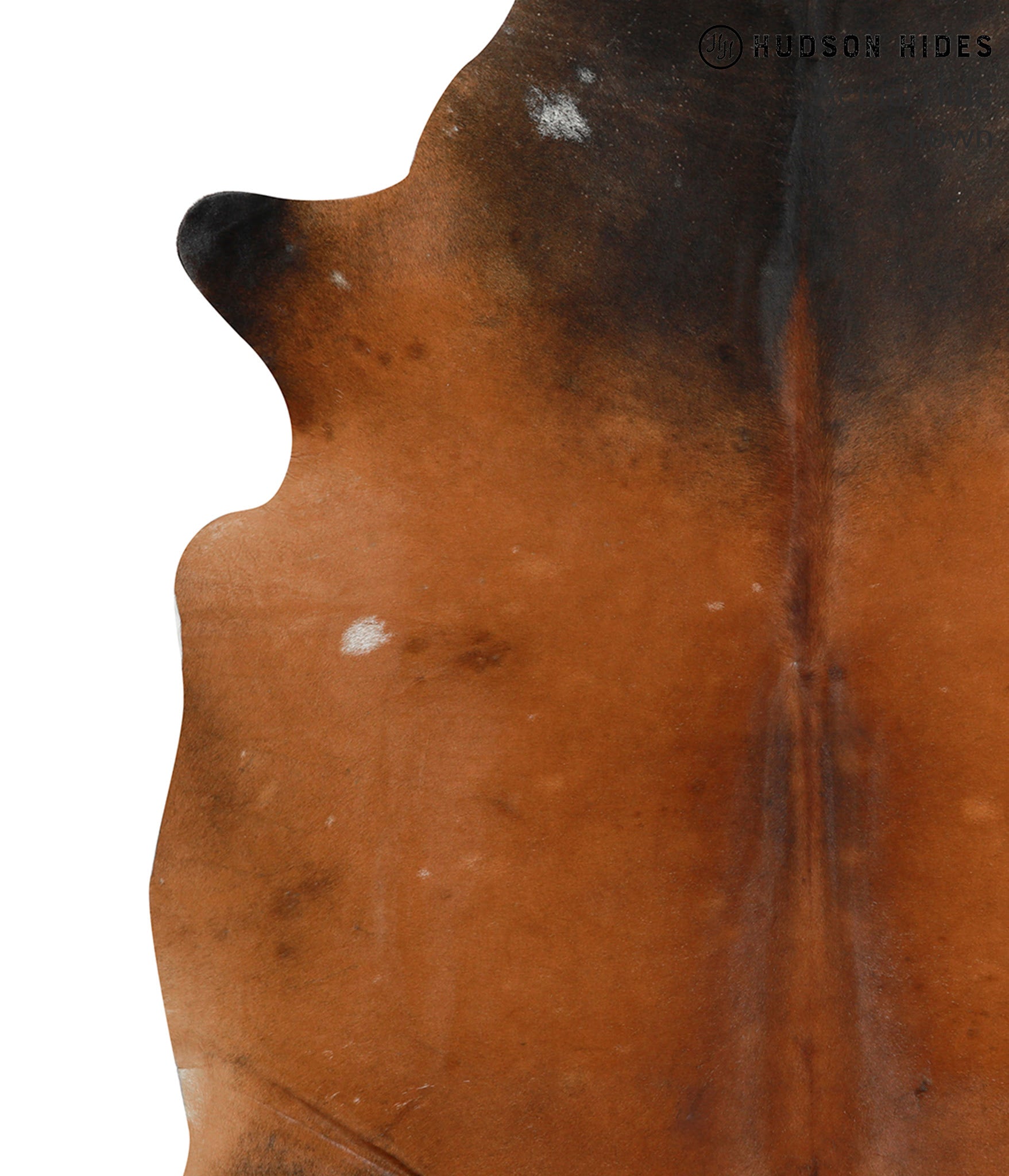 Brown with Red Cowhide Rug #49827