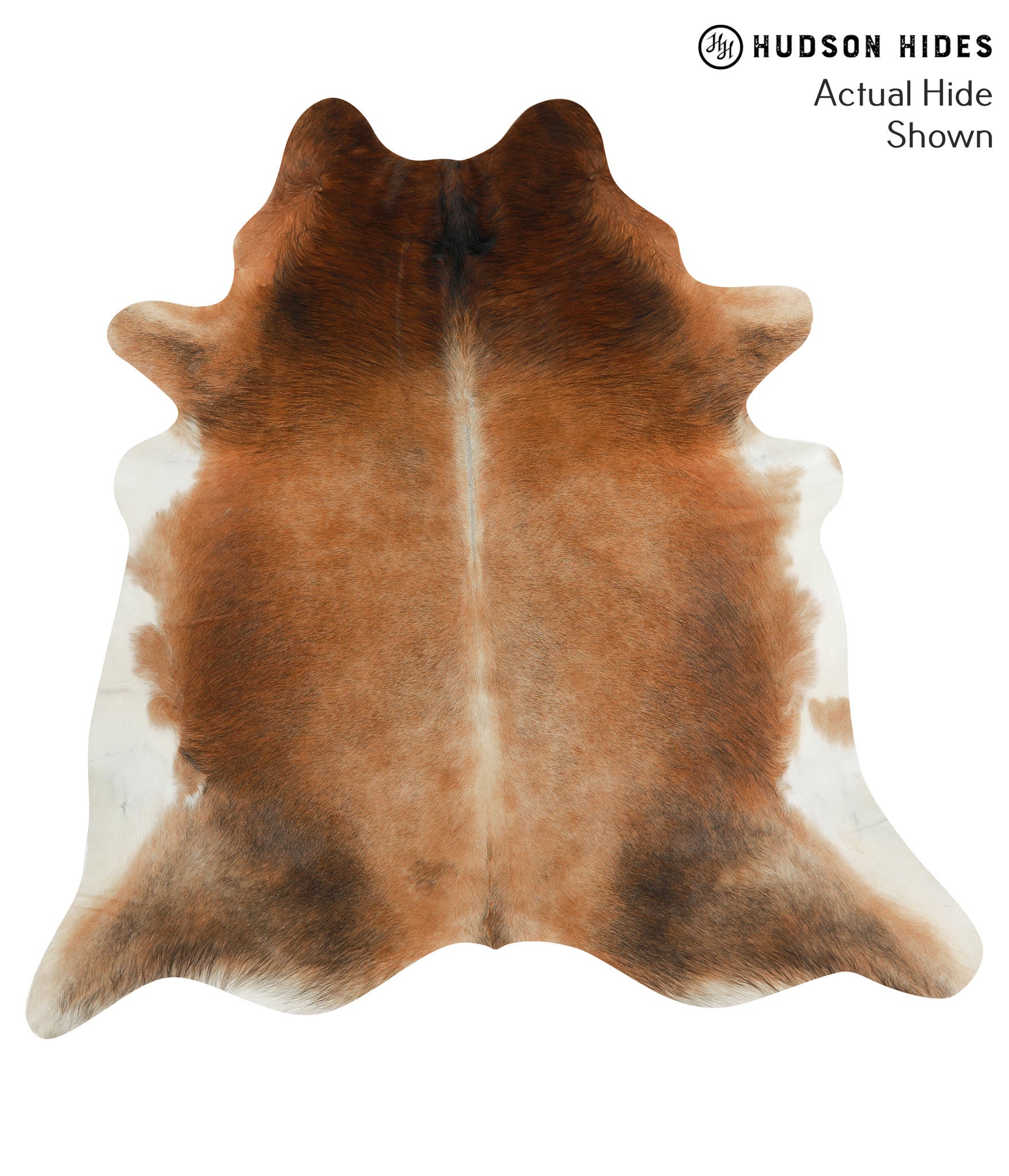 Brown with Red Cowhide Rug #49953