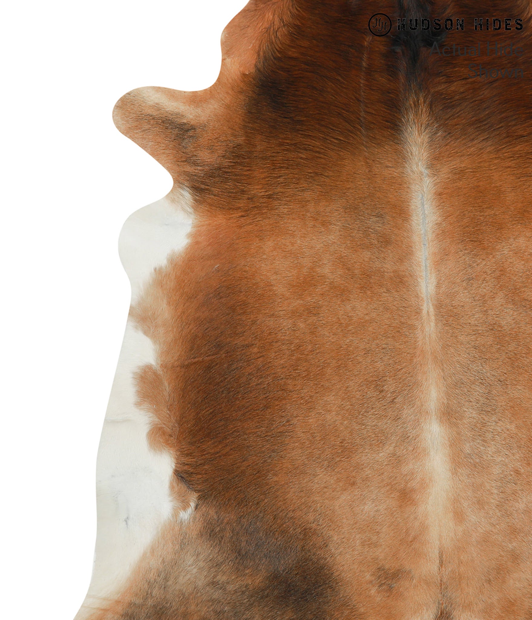 Brown with Red Cowhide Rug #49953