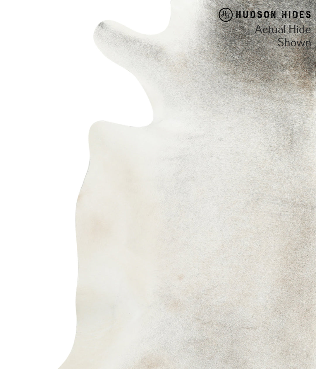 Medium Grey XX-Large Brazilian Cowhide Rug 7'4"H x 7'3"W #50082 by Hud