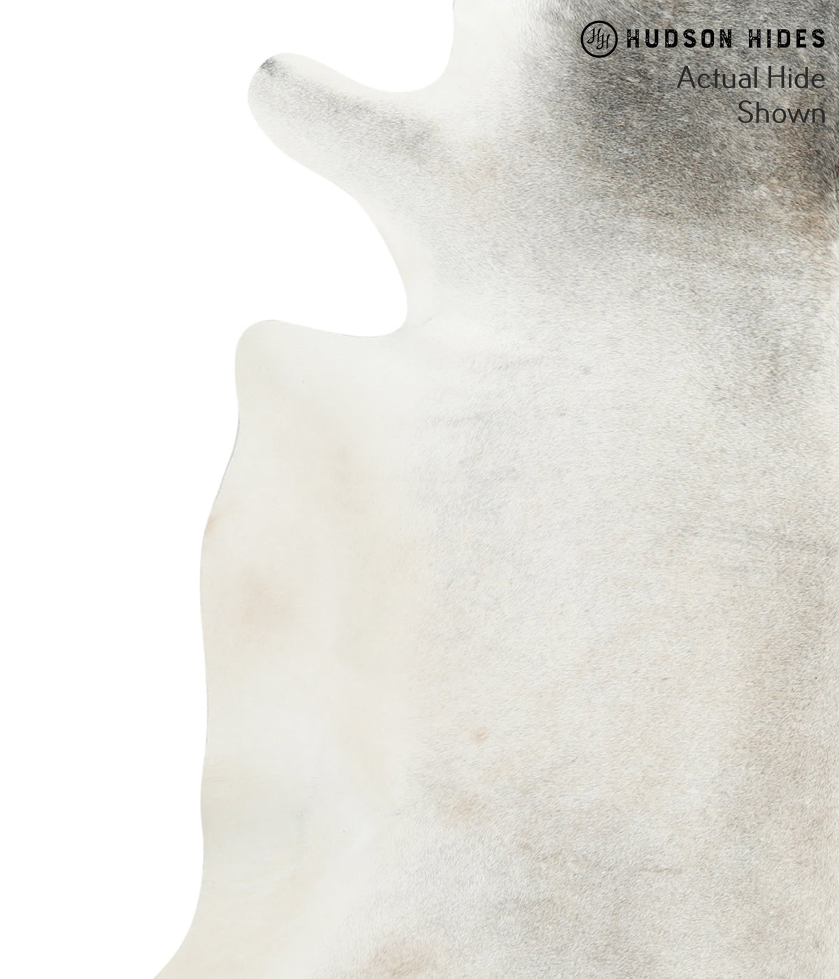 Medium Grey XX-Large Brazilian Cowhide Rug 7'4"H x 7'3"W #50082 by Hudson Hides