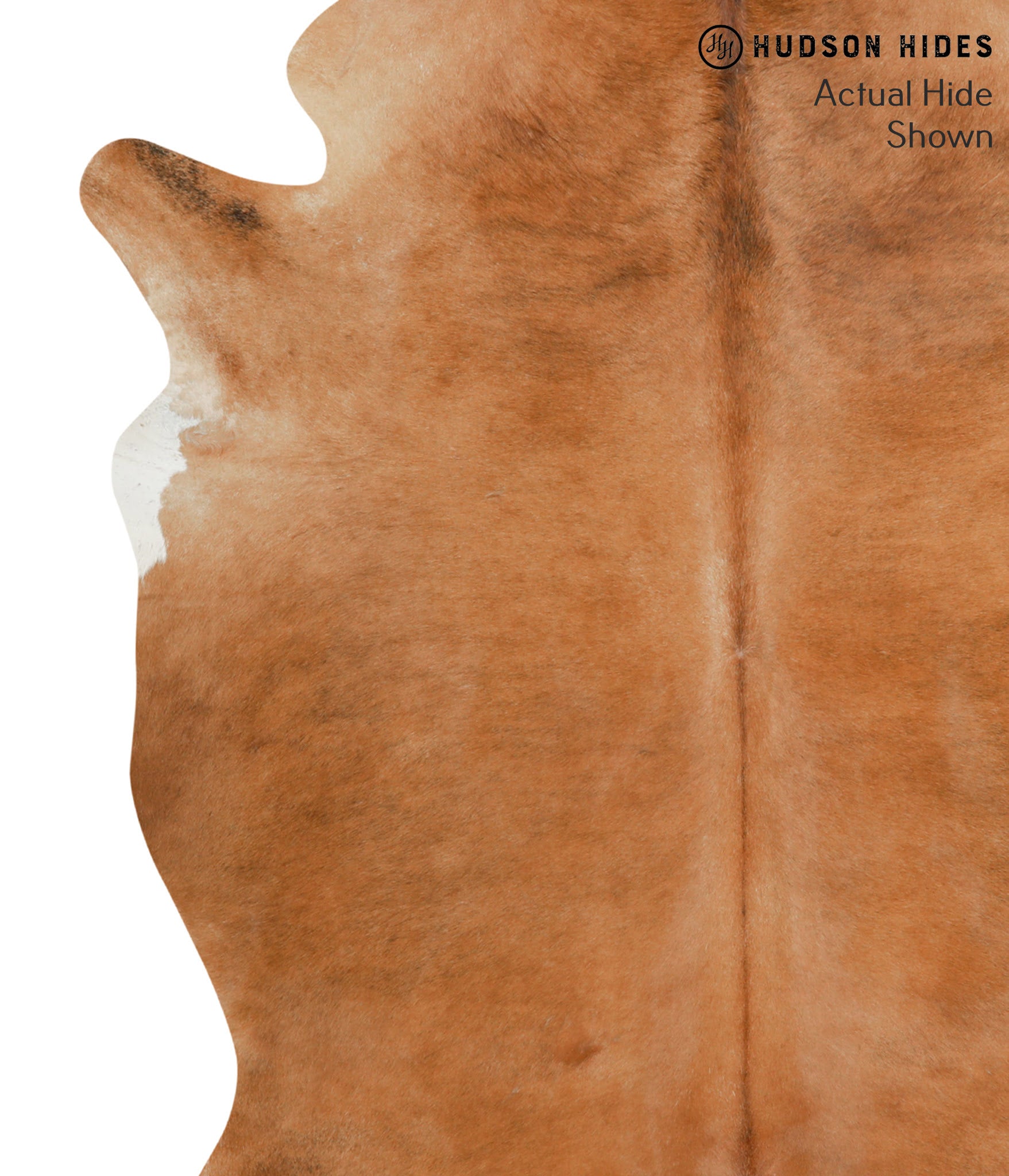 Solid Brown Cowhide Rug #50095