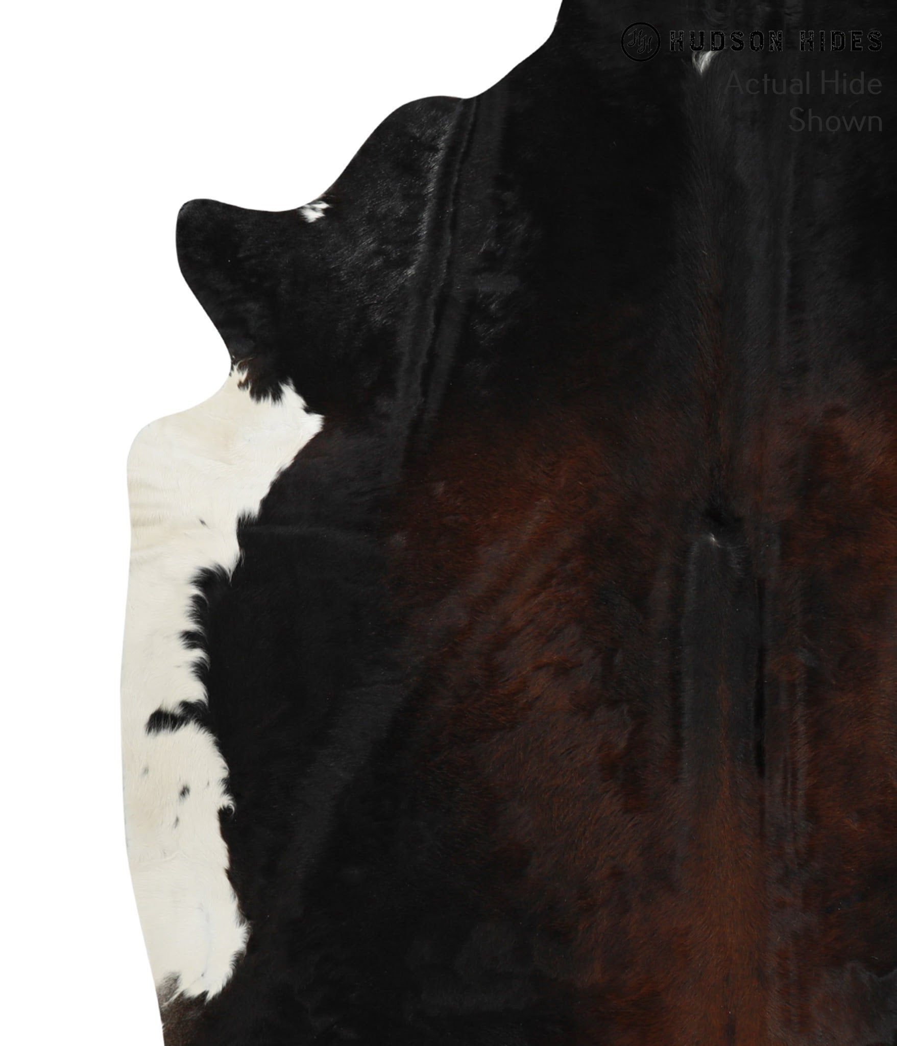Chocolate Cowhide Rug #50121