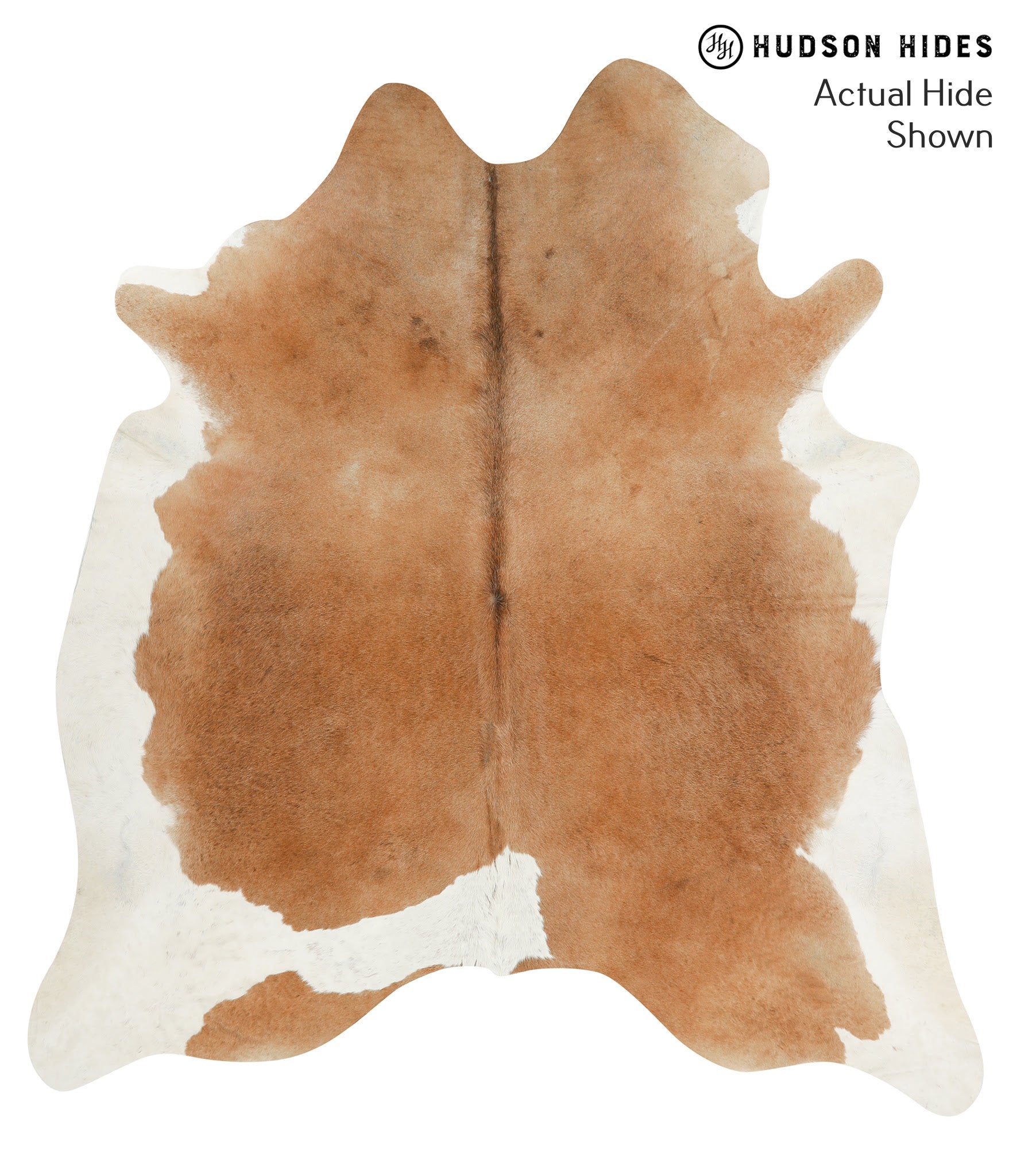 Brown and White Cowhide Rug #50172