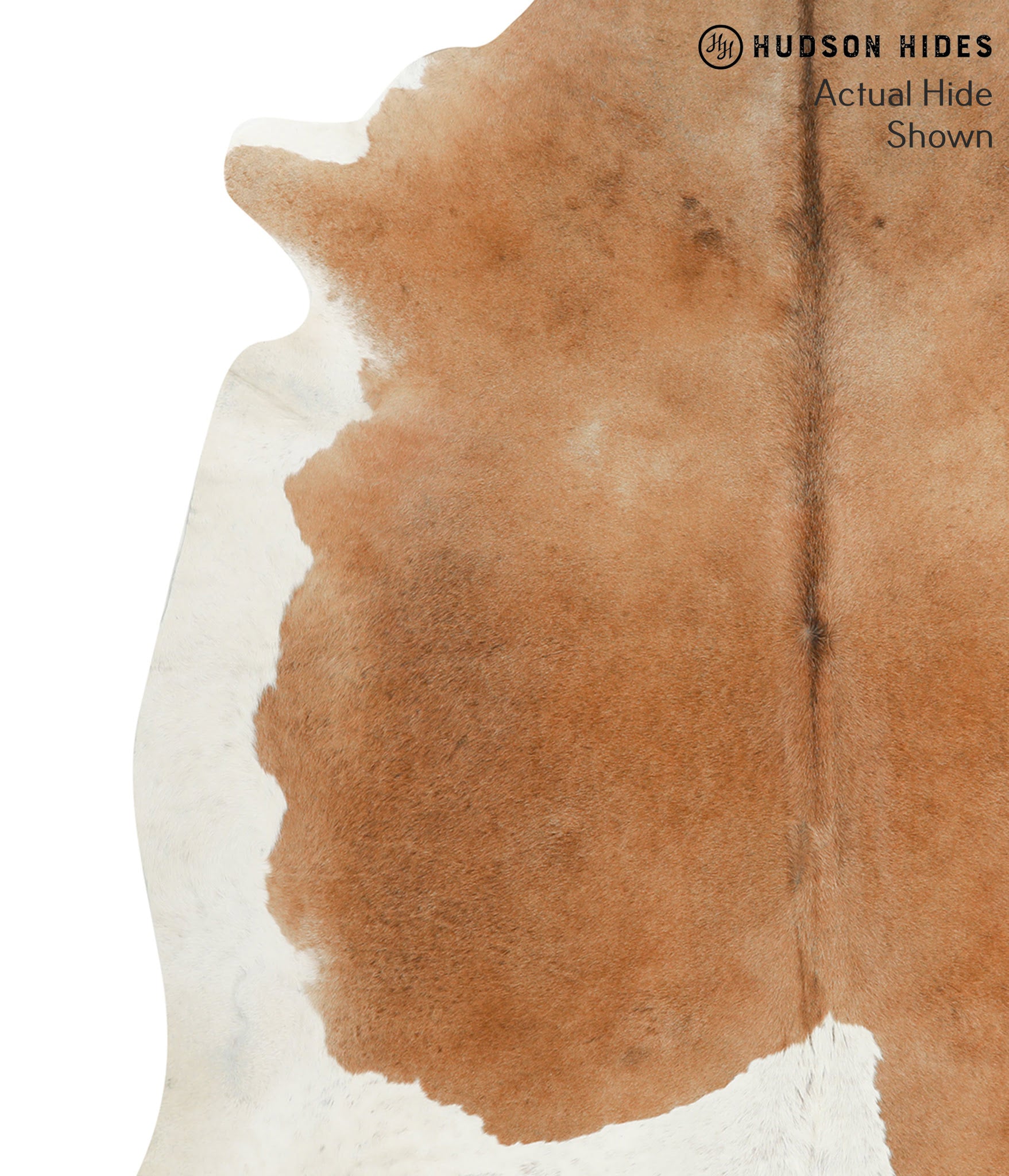 Brown and White Cowhide Rug #50172