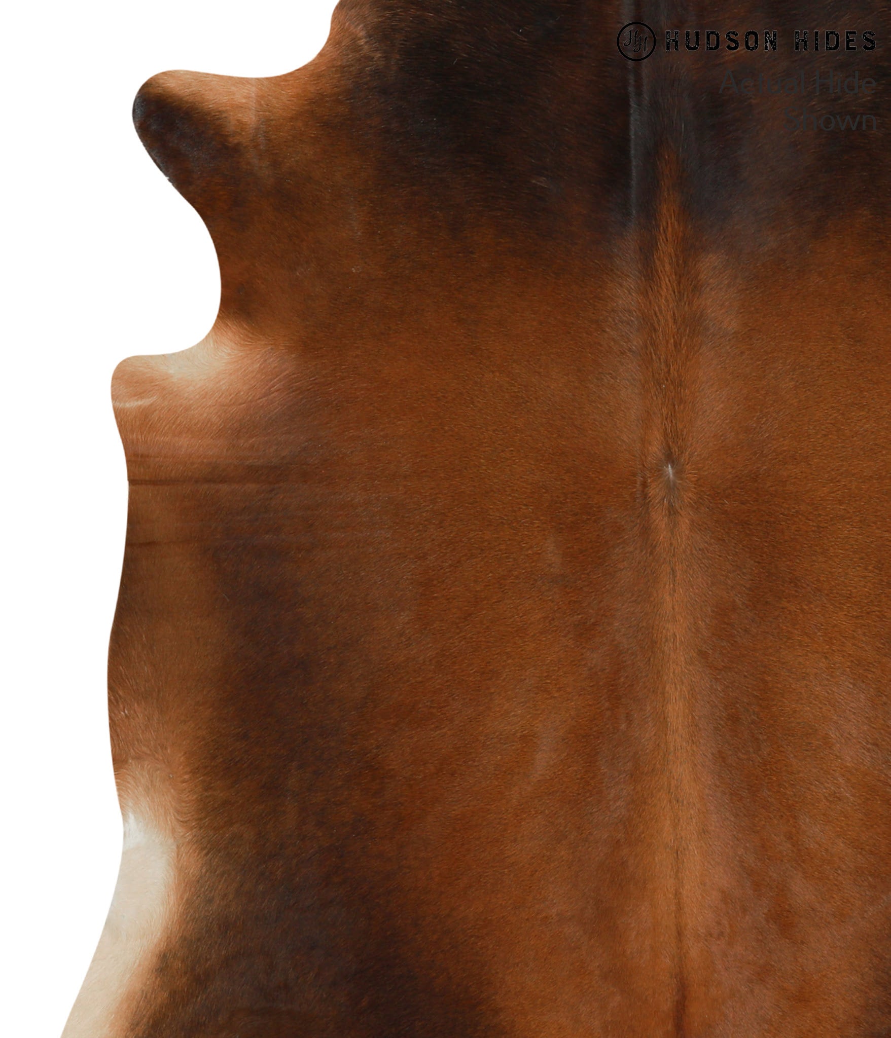 Brown with Red Cowhide Rug #50181
