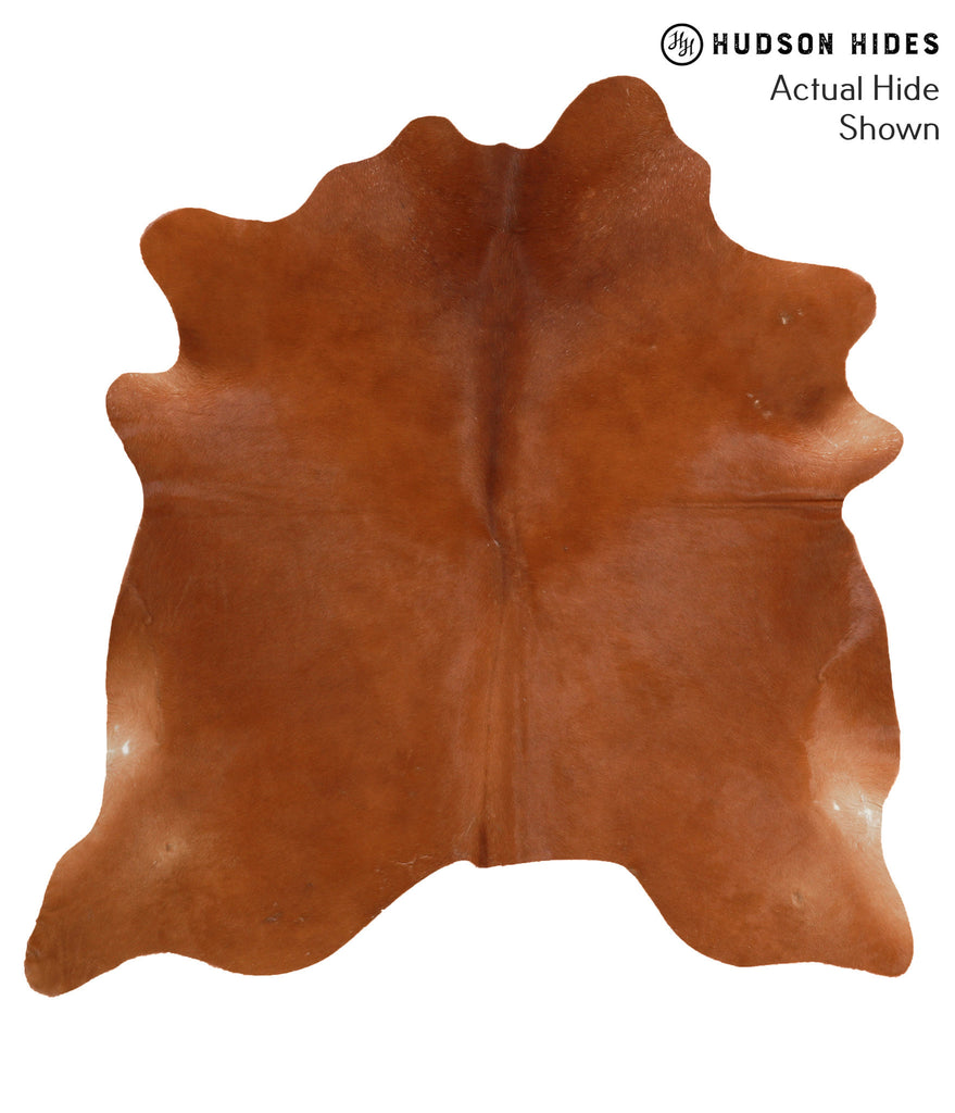 Solid Brown X-Large Brazilian Cowhide Rug 6'8"H x 6'6"W #50254 by Hudson Hides