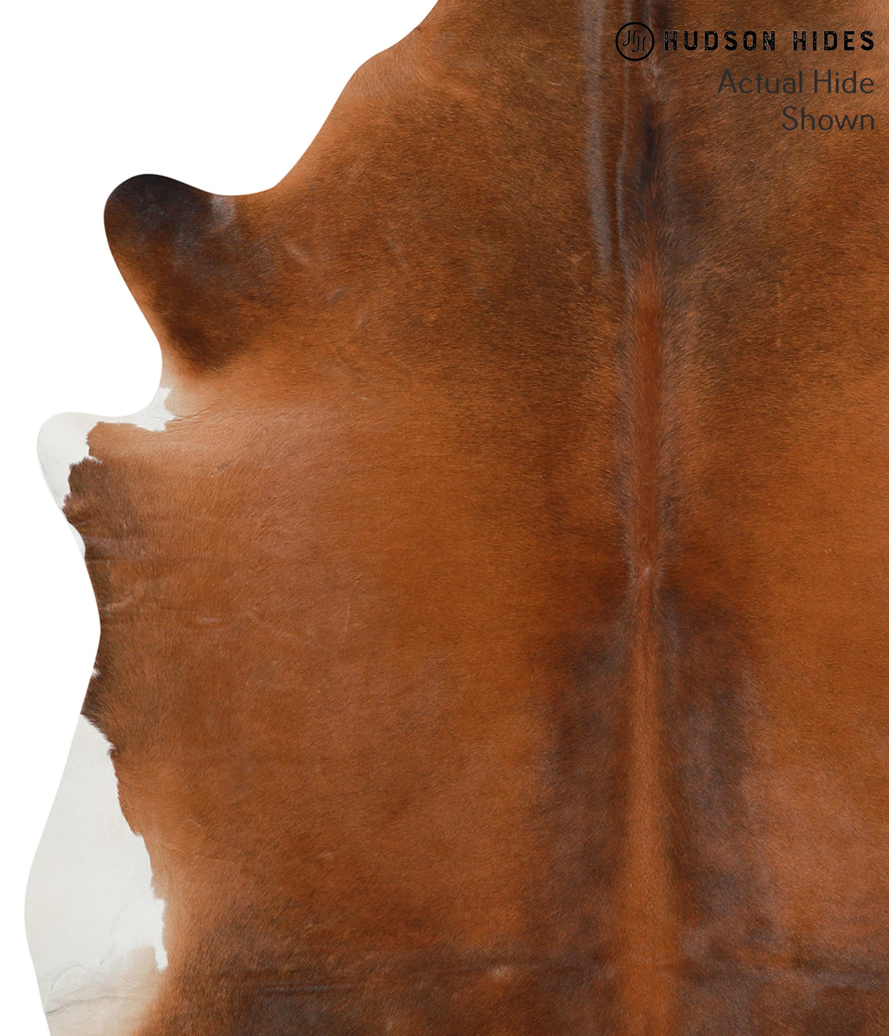 Brown with Red Cowhide Rug #50425