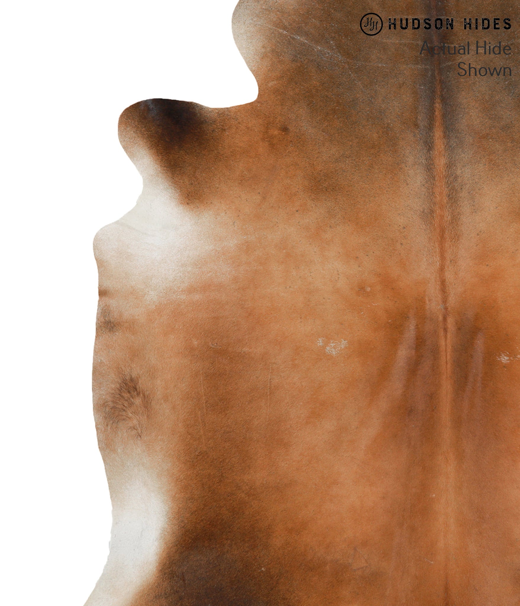 Brown with Red Cowhide Rug #50426