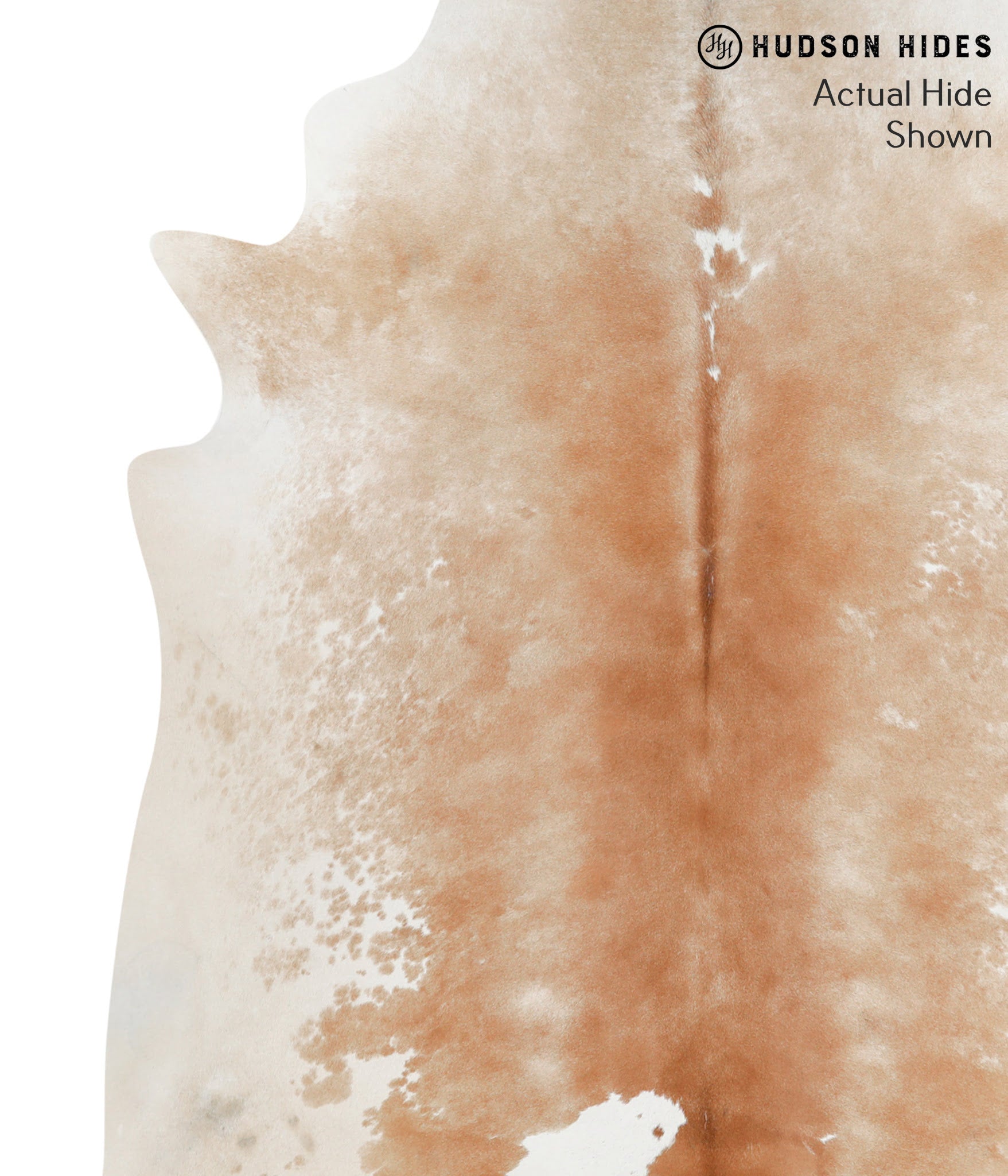Caramel Cowhide Rug #50436