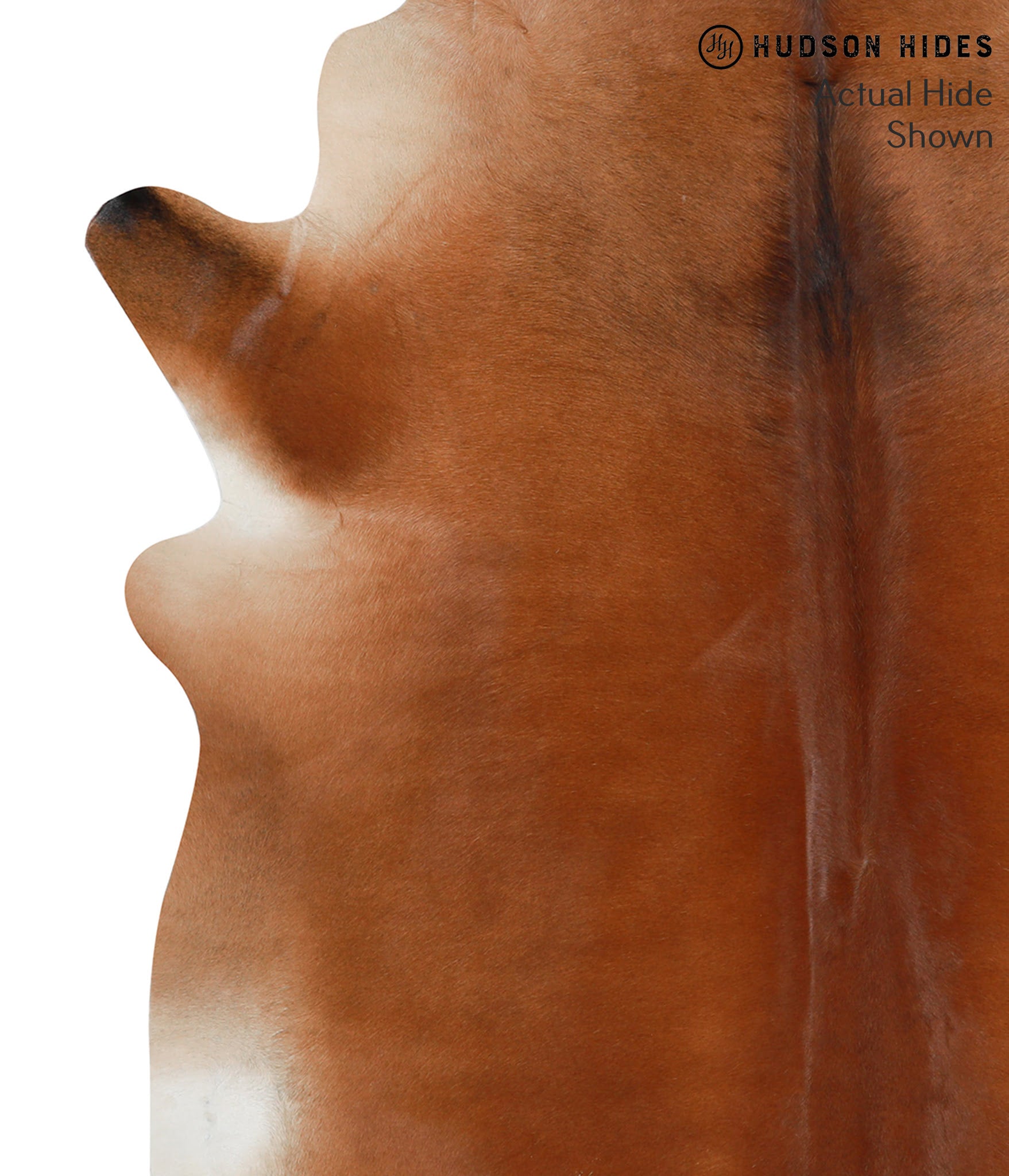 Solid Brown Cowhide Rug #50504