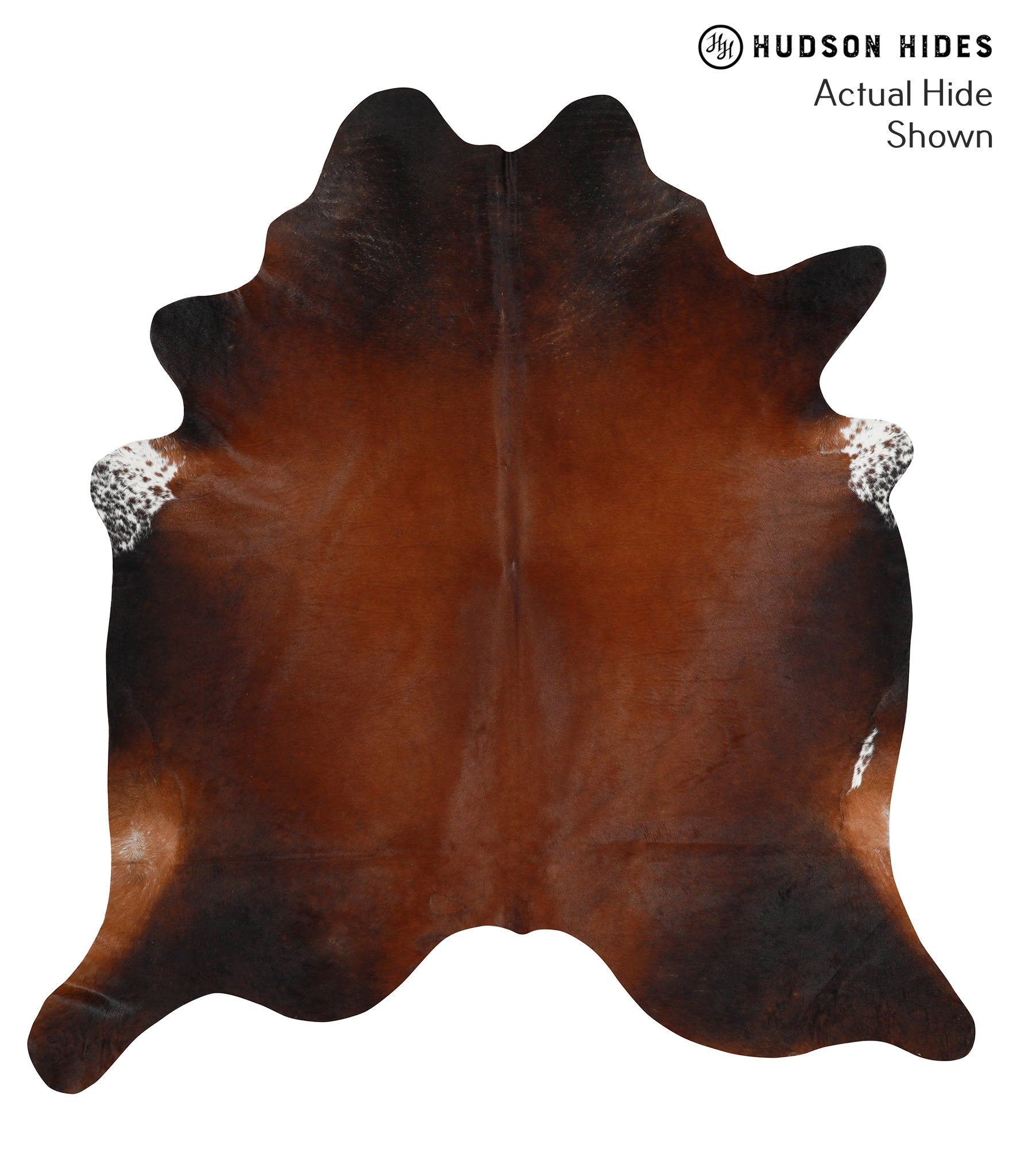 Brown with Red Cowhide Rug #50515