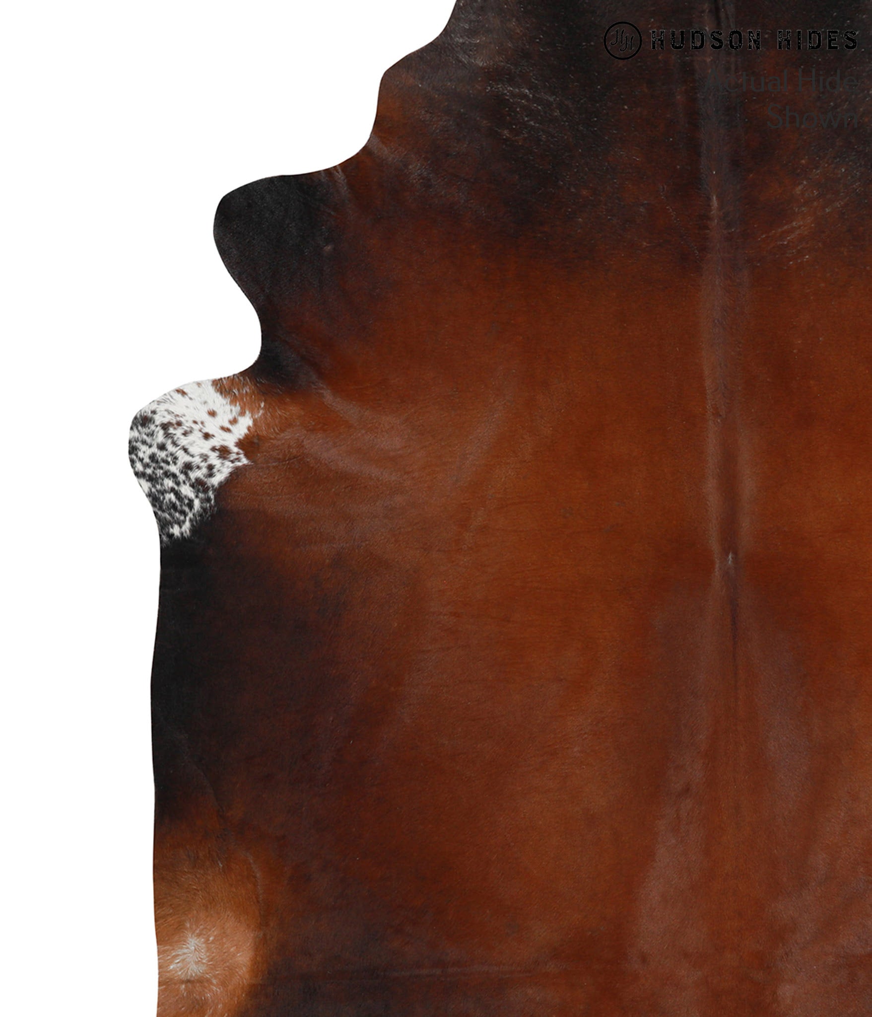 Brown with Red Cowhide Rug #50515