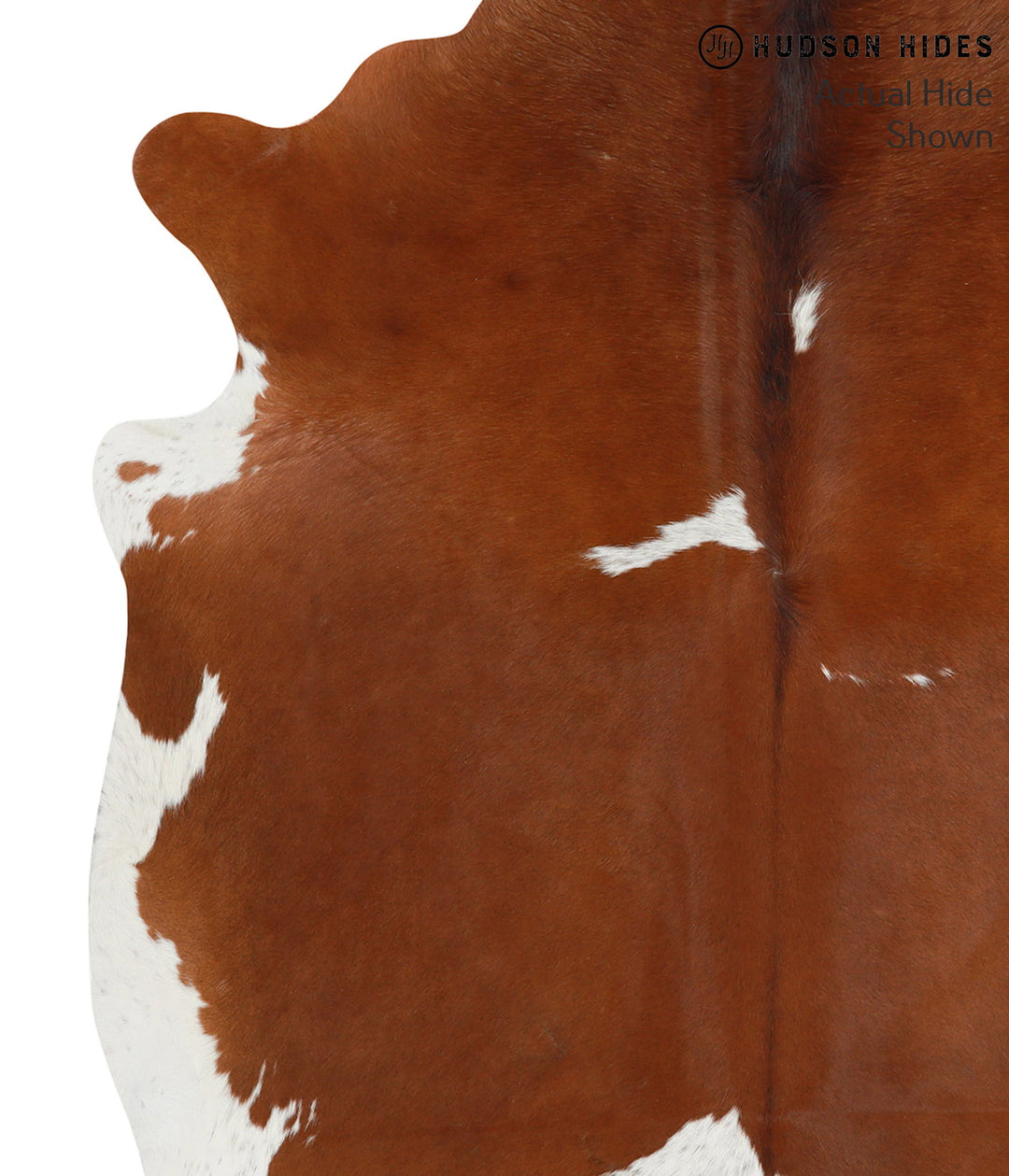 Brown and White X-Large Brazilian Cowhide Rug 6'10"H x 6'2"W #50527 by