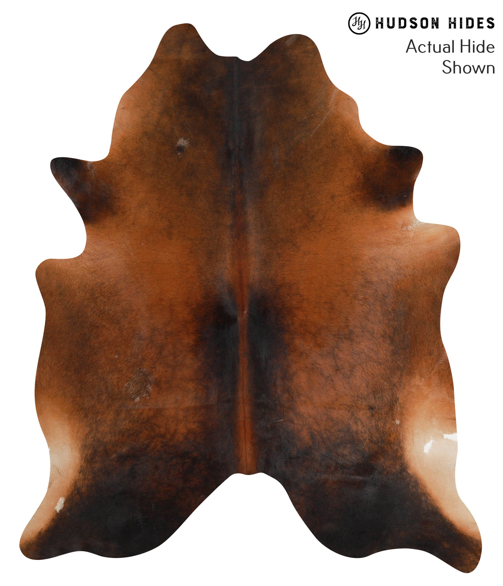 Brown with Red Cowhide Rug #50554