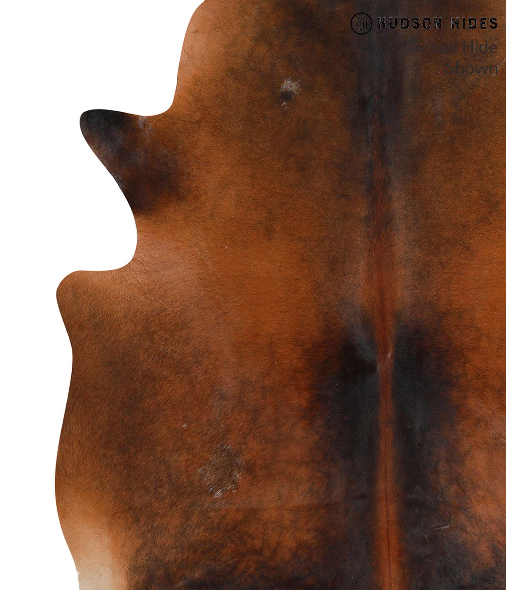 Brown with Red Cowhide Rug #50554