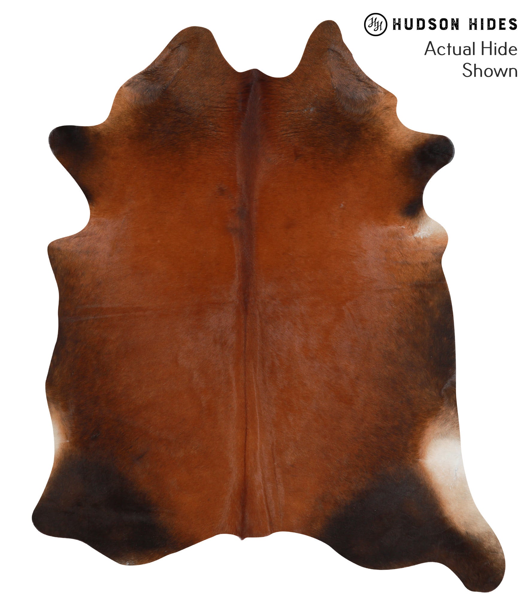 Brown with Red Cowhide Rug #50584