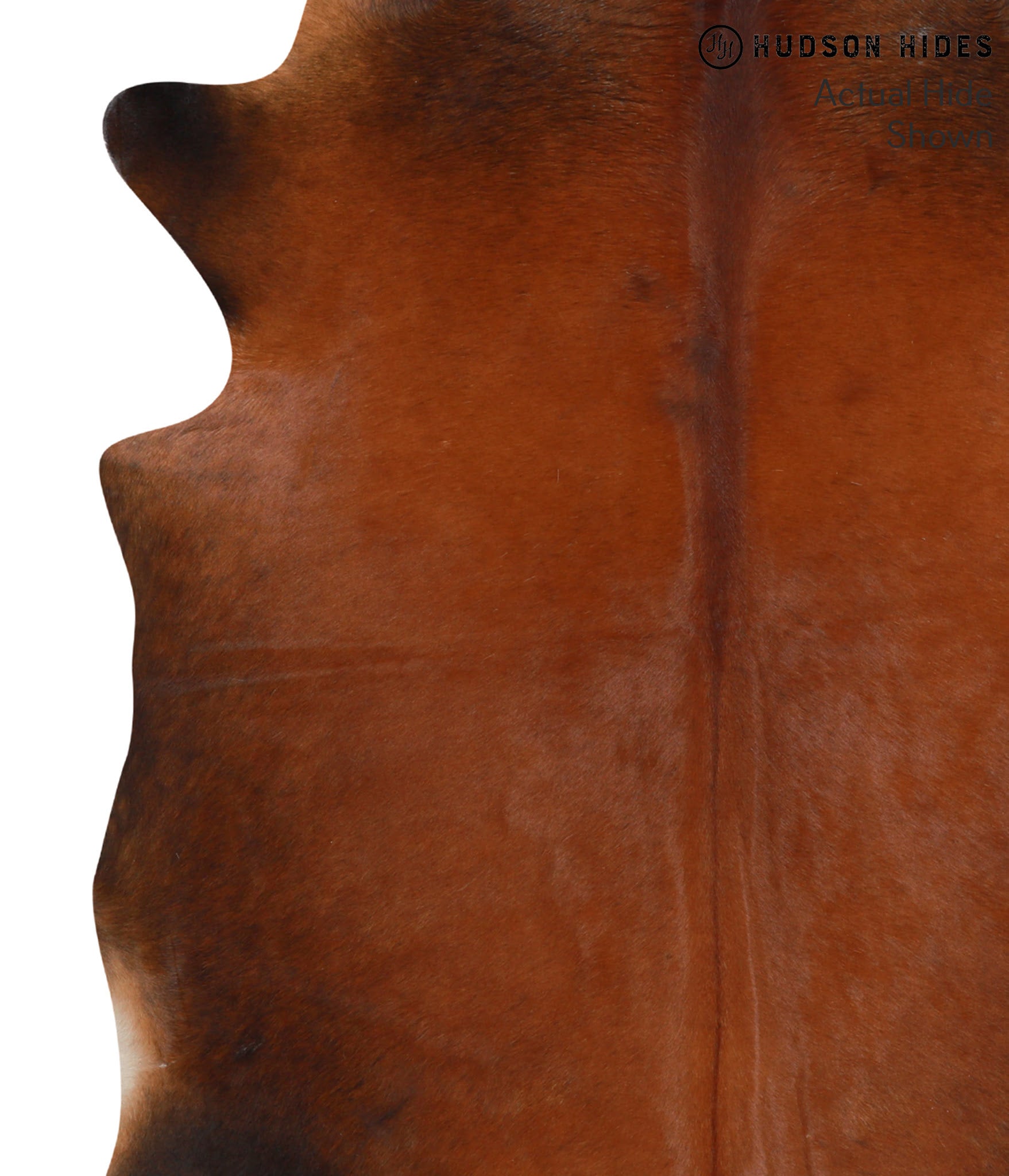 Brown with Red Cowhide Rug #50584