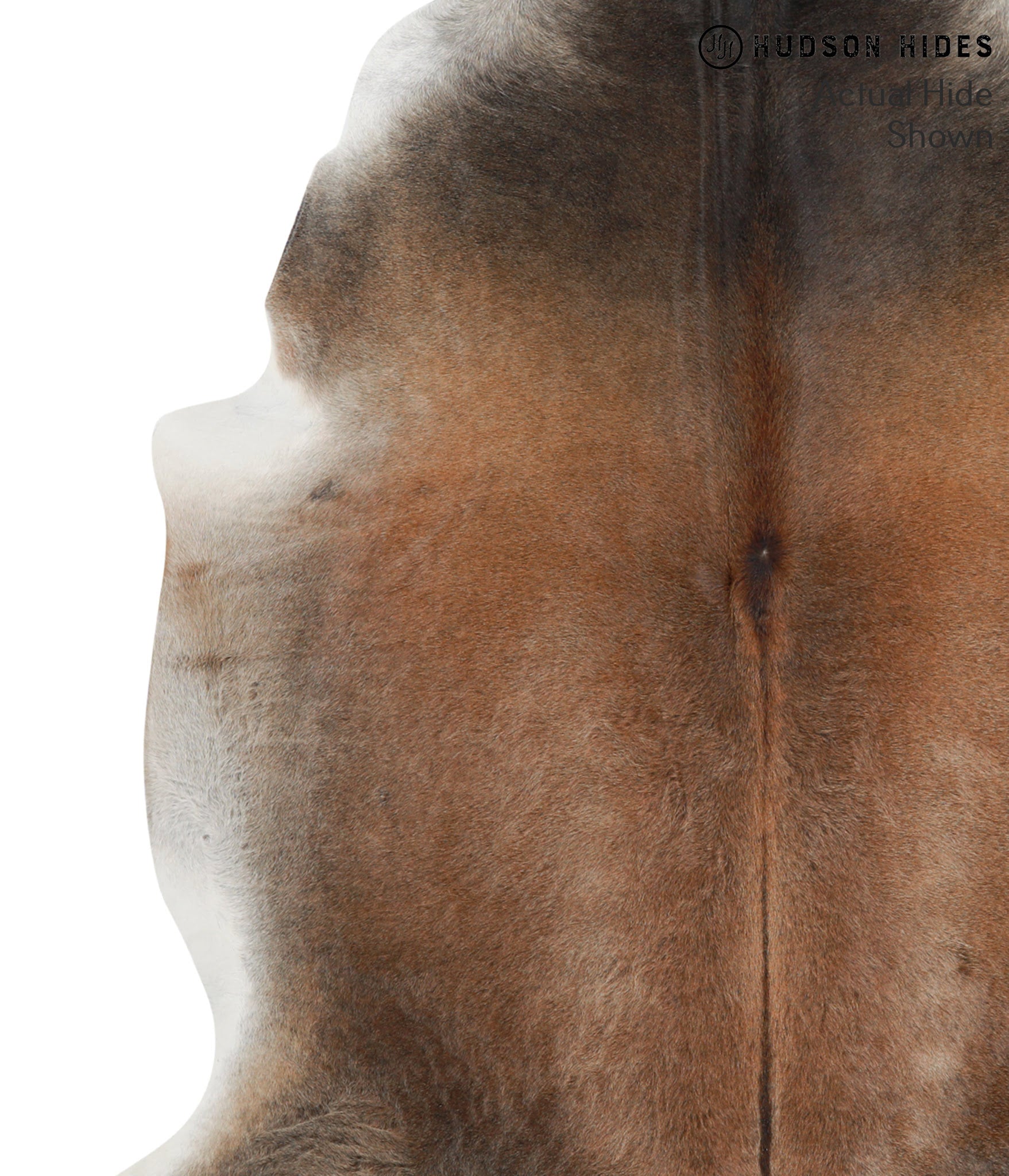Grey with Beige Cowhide Rug #50692