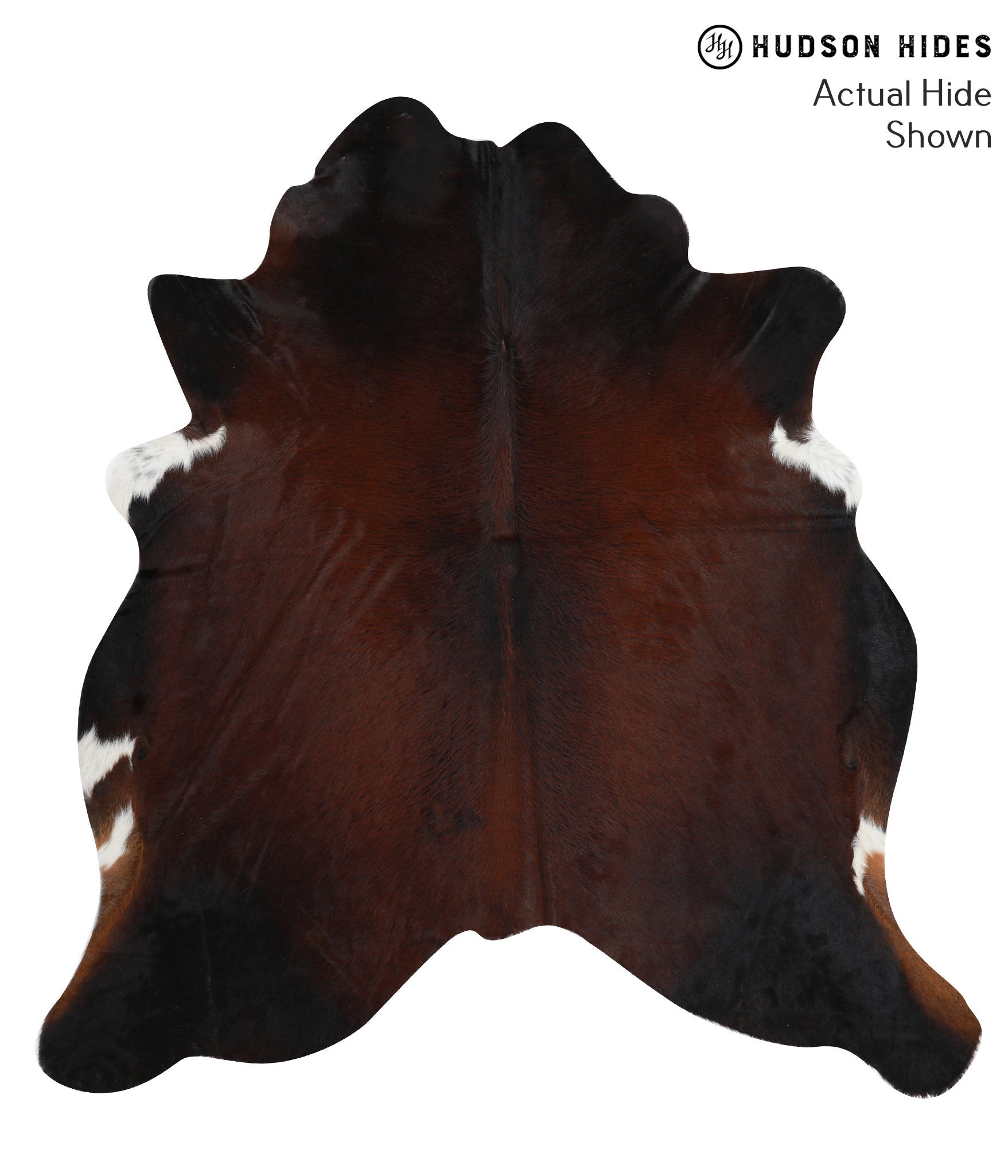 Brown with Red Cowhide Rug #50803