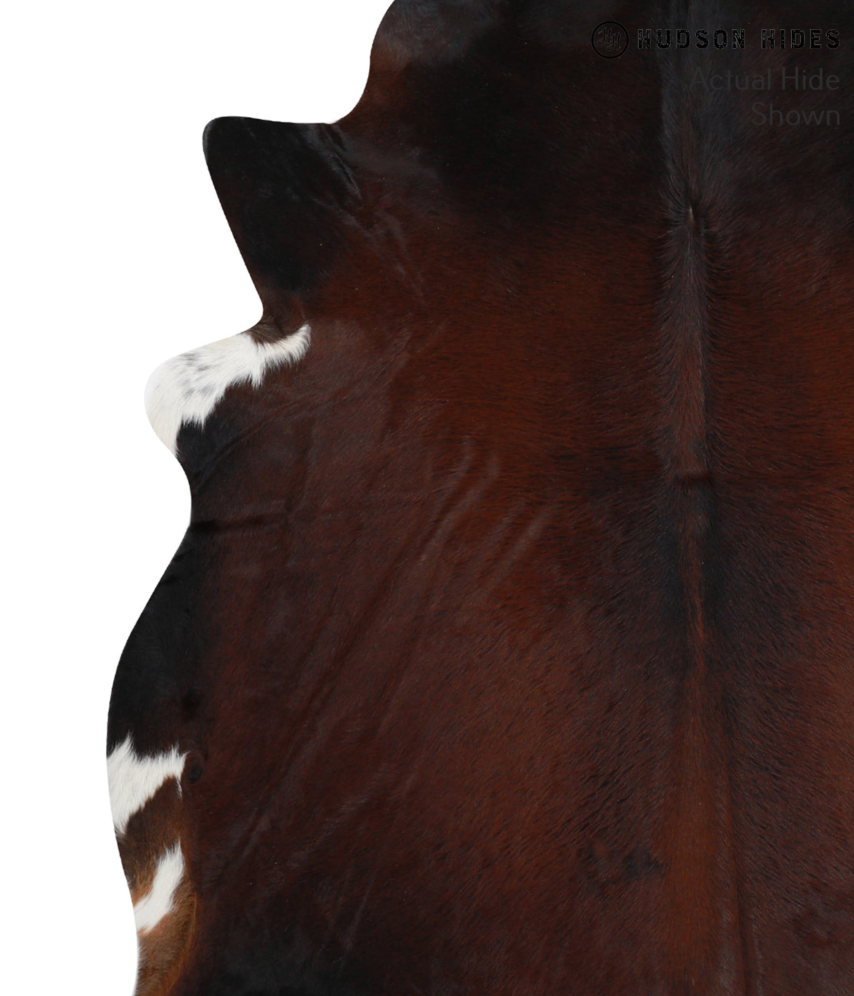 Brown with Red Cowhide Rug #50803