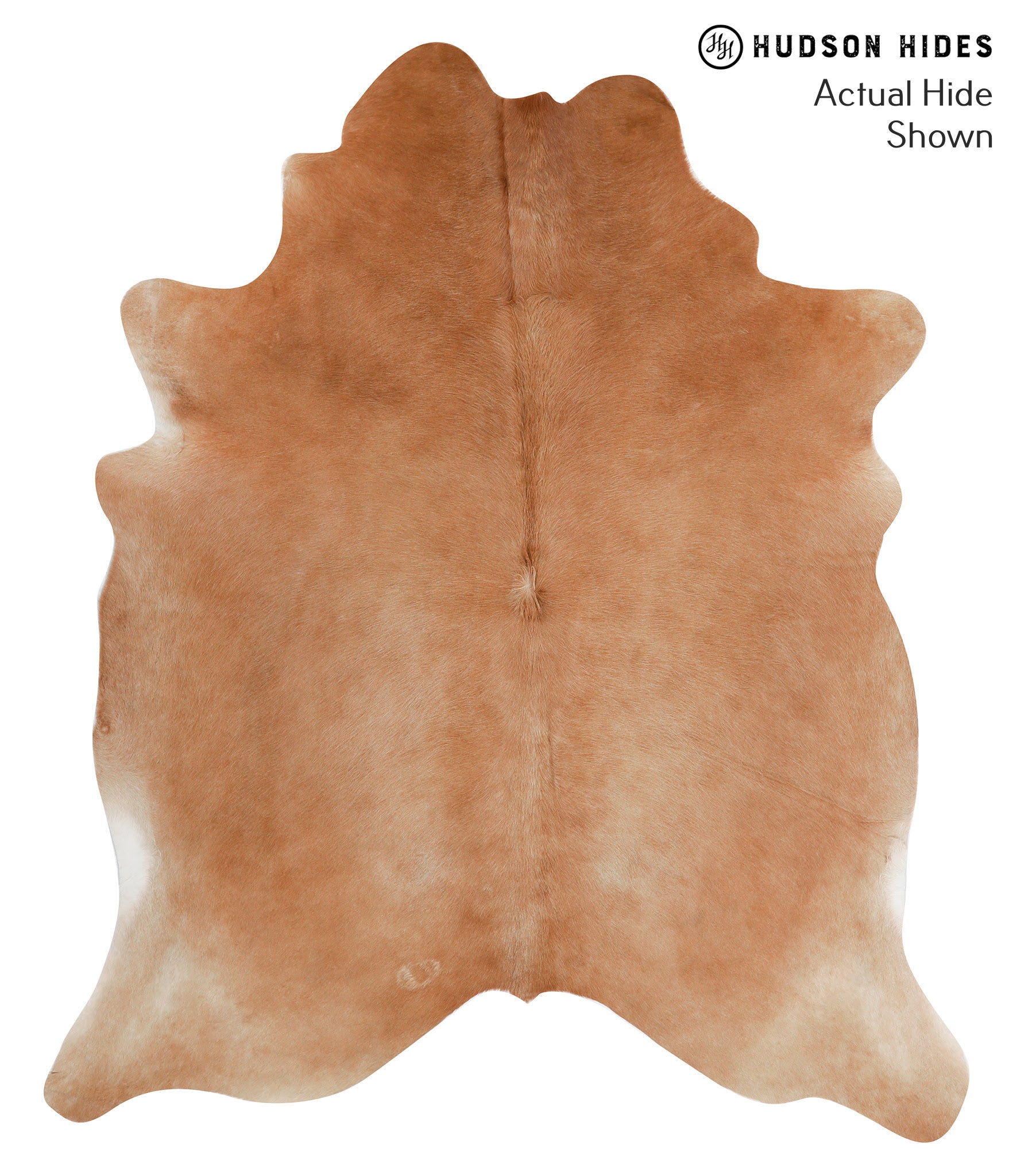 Solid Brown Cowhide Rug #50806
