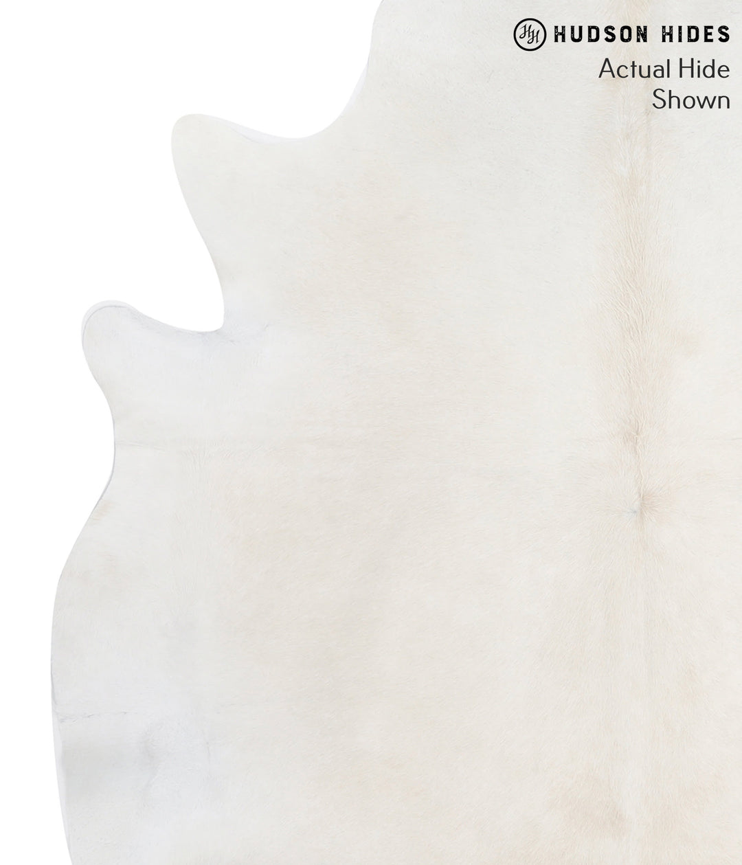 Light Grey X-Large Brazilian Cowhide Rug 7'2"H x 6'6"W #50911 by Hudso